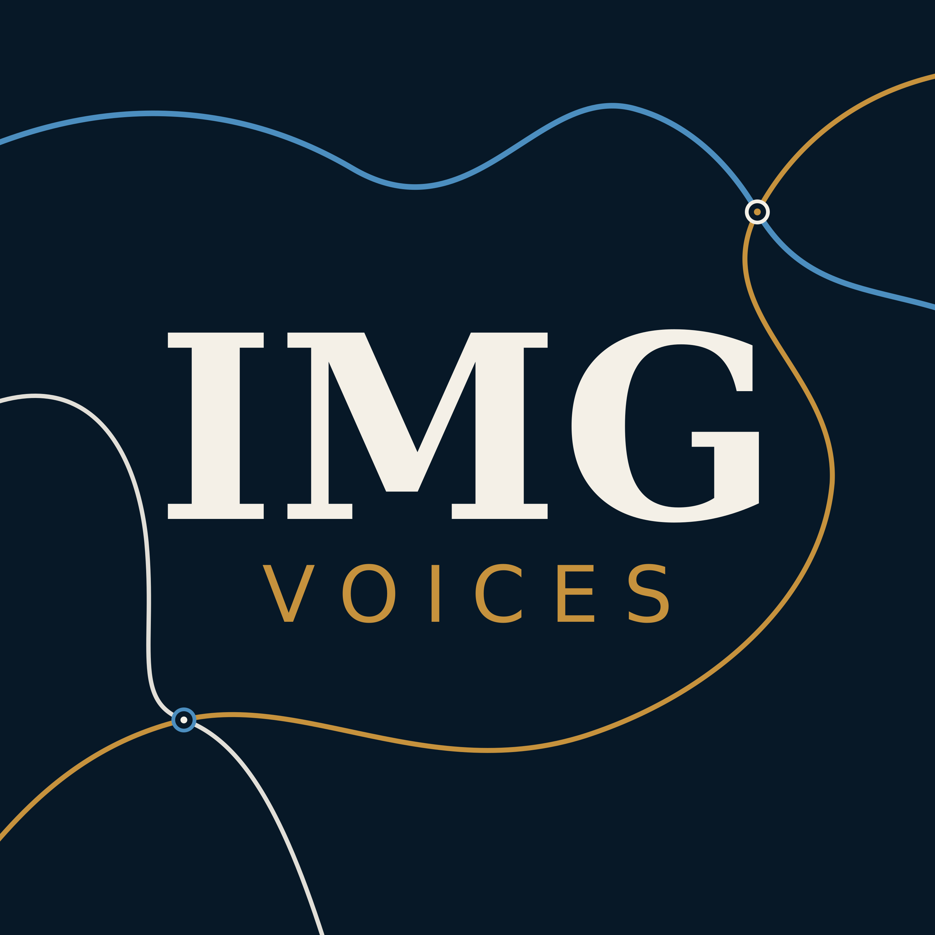 IMG Voices podcast artwork