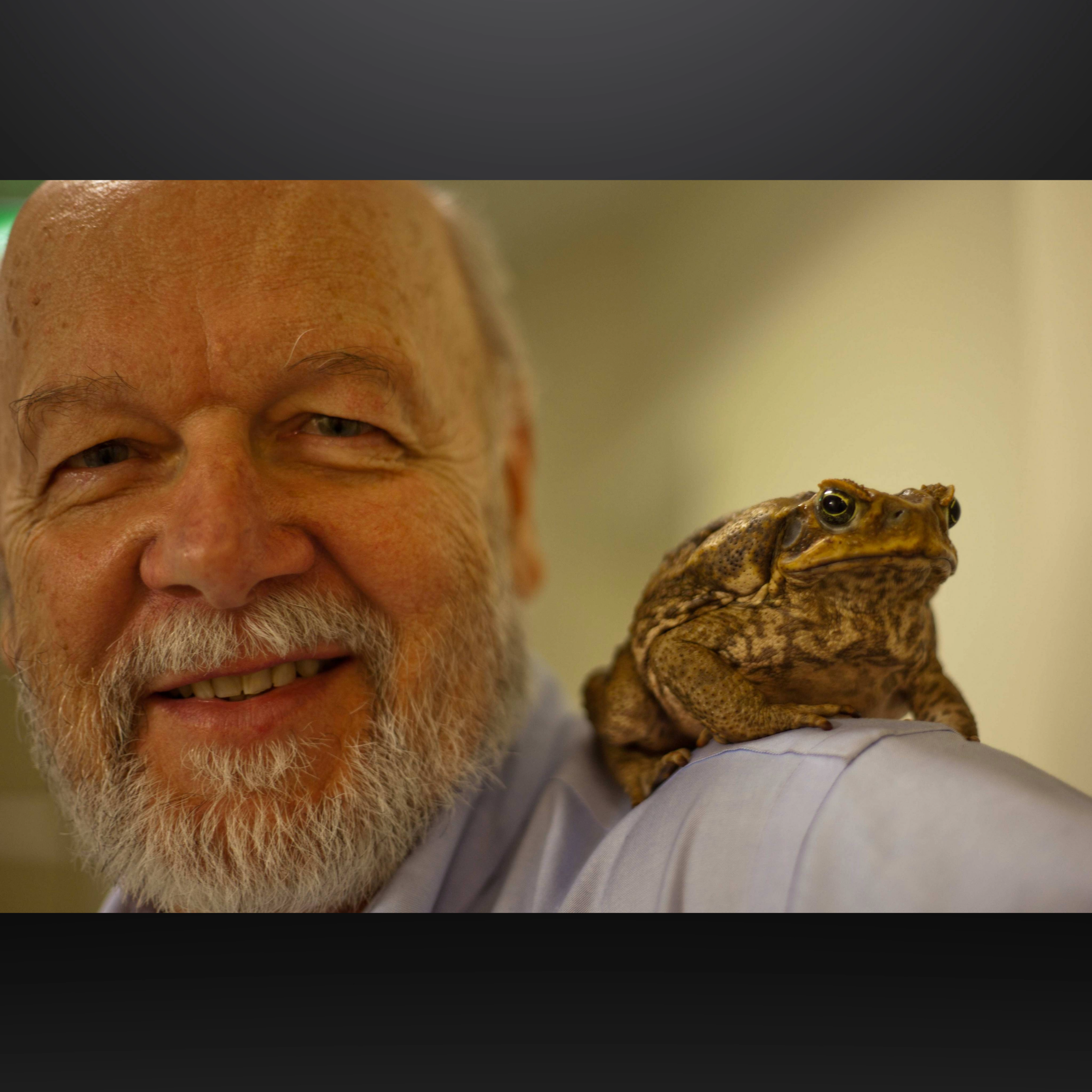 Where Are We At With Cane Toads?