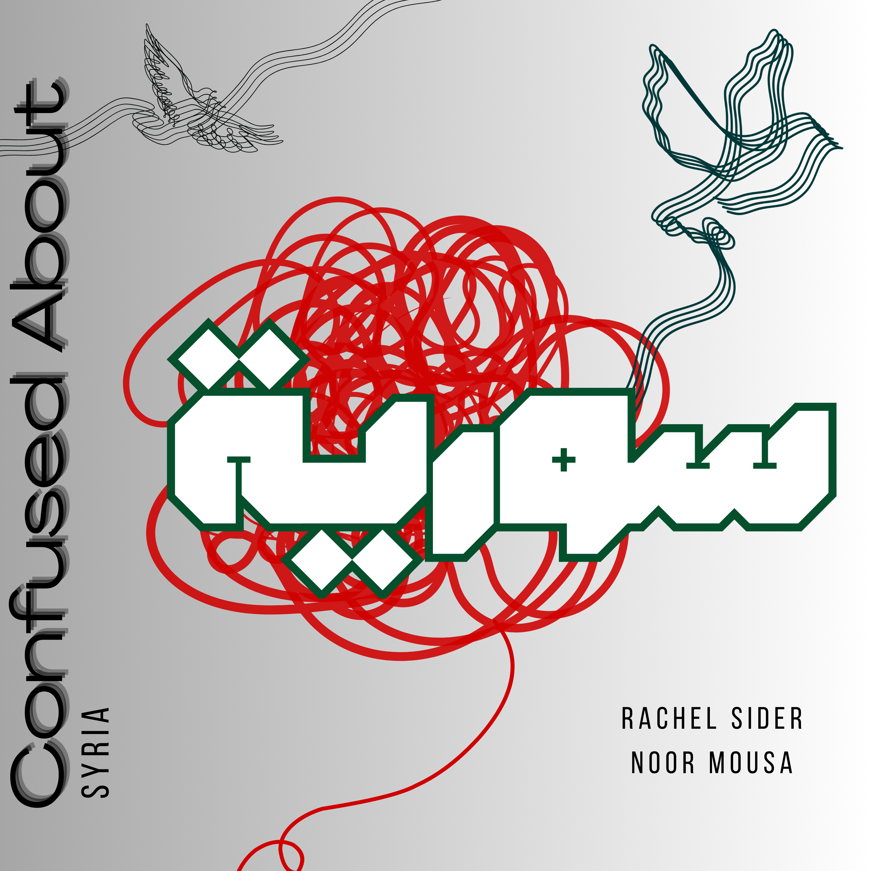 Episode 5 | Final Reflections: What Syria Can Learn from Iraq episode artwork