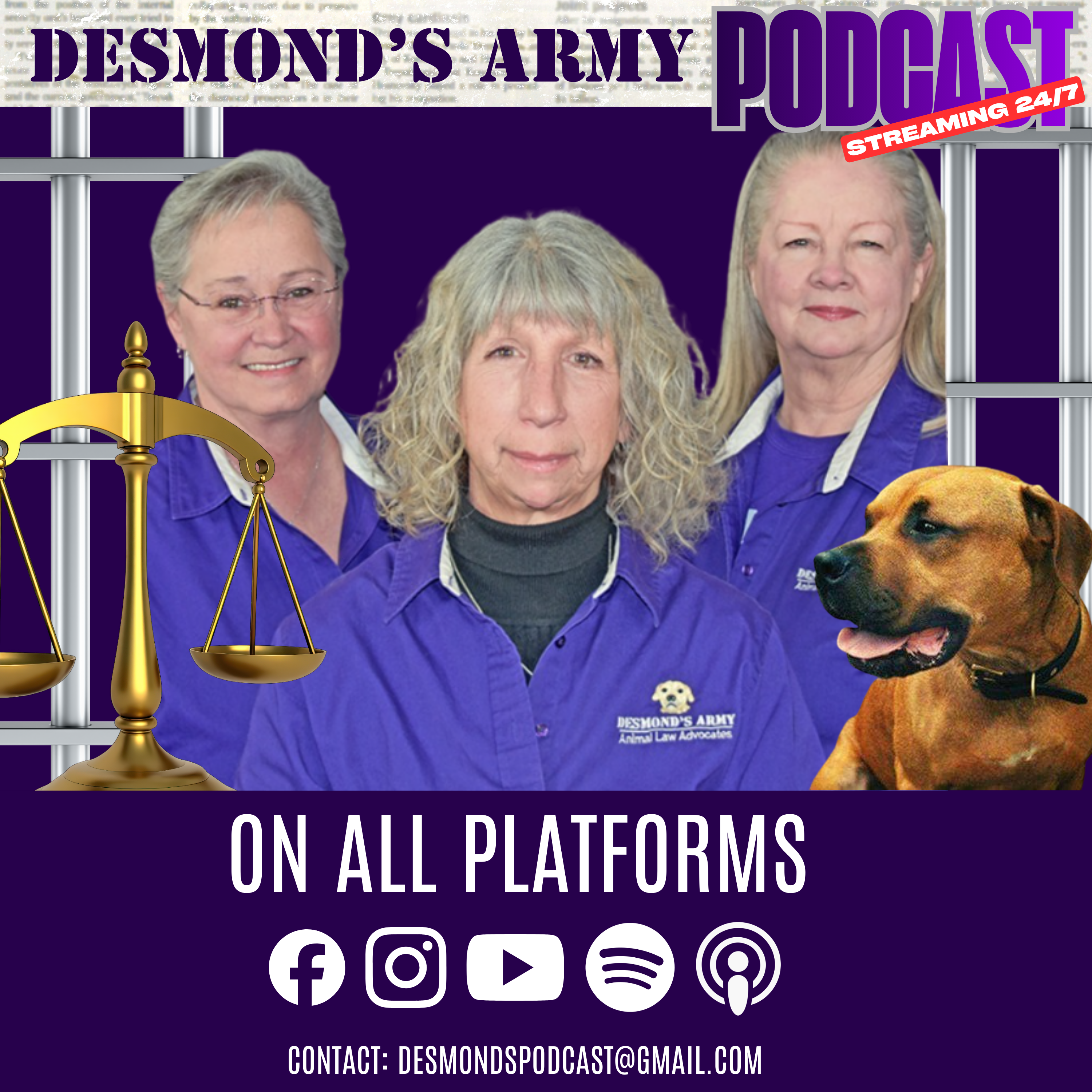 Desmond's Army Podcast podcast artwork