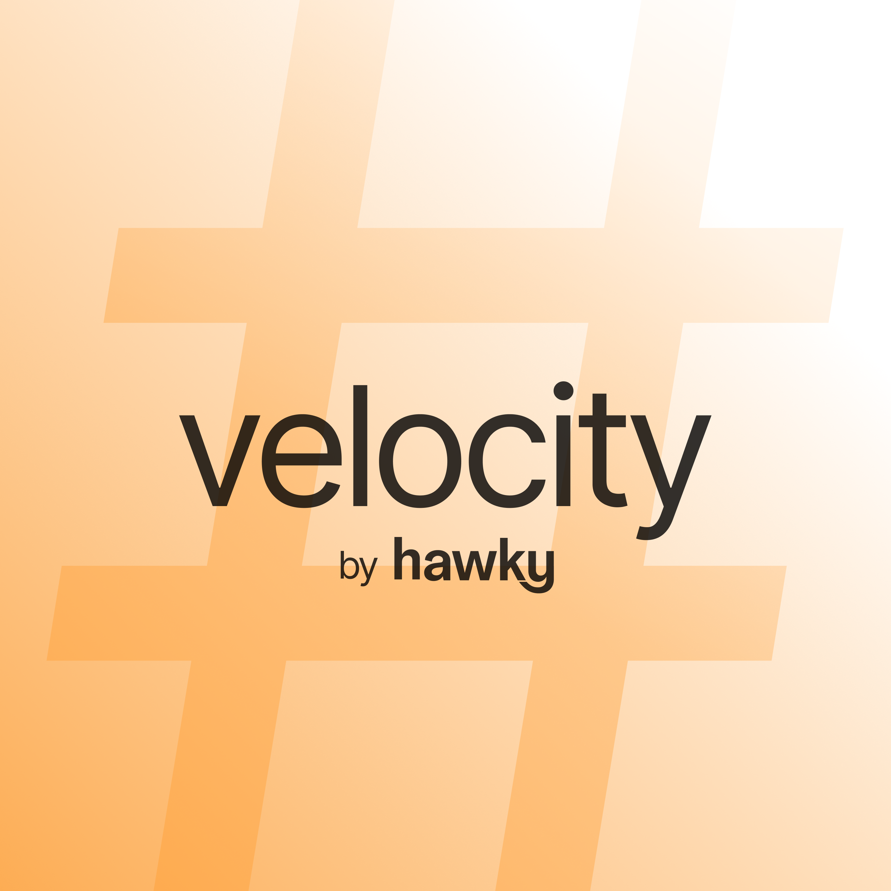 Velocity:Performance Marketing Podcast