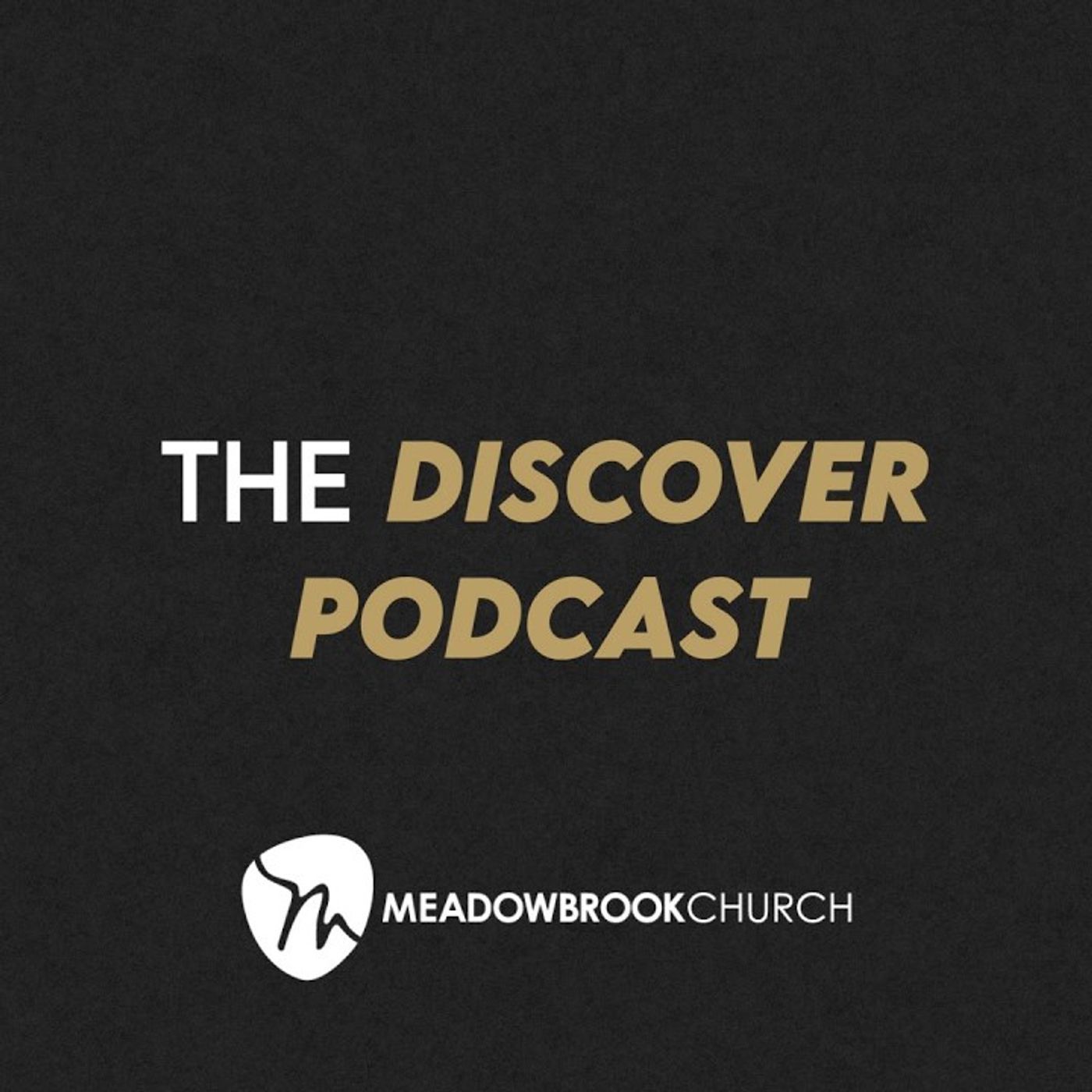S1E14 | Cami Gilbert: Does God Really Like Me? episode artwork