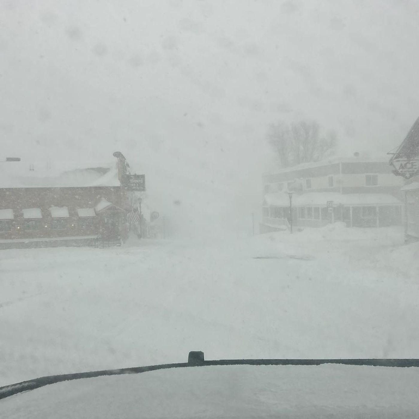 Digging Out from Winter Storm Elsa
