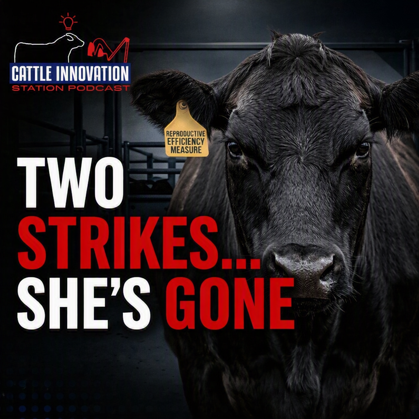 The Fertility Rule Behind a 90% Conception Herd