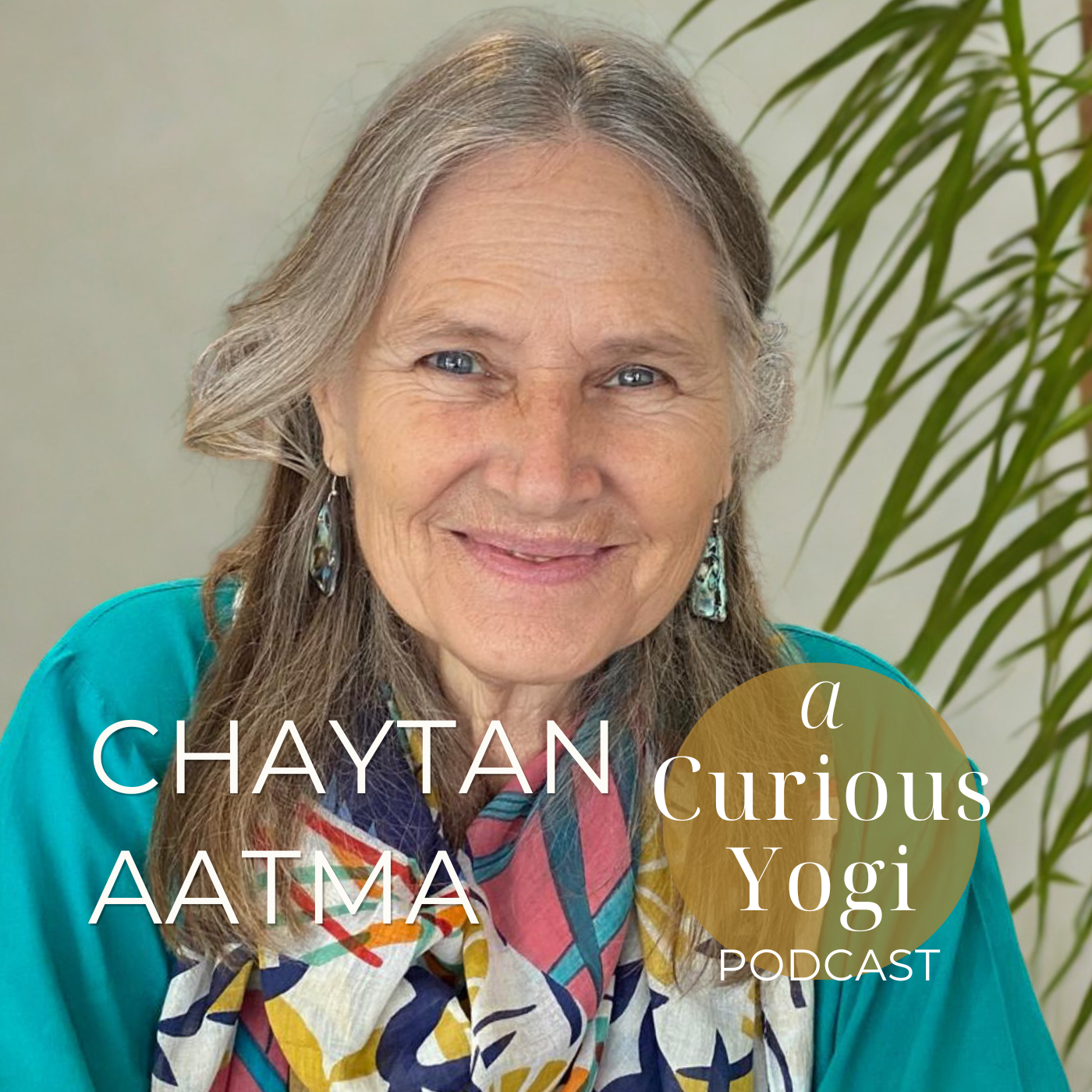 Meditation Reveals the Inner-Ever-Present Friend | Satsang with Chaytan Aatma episode artwork