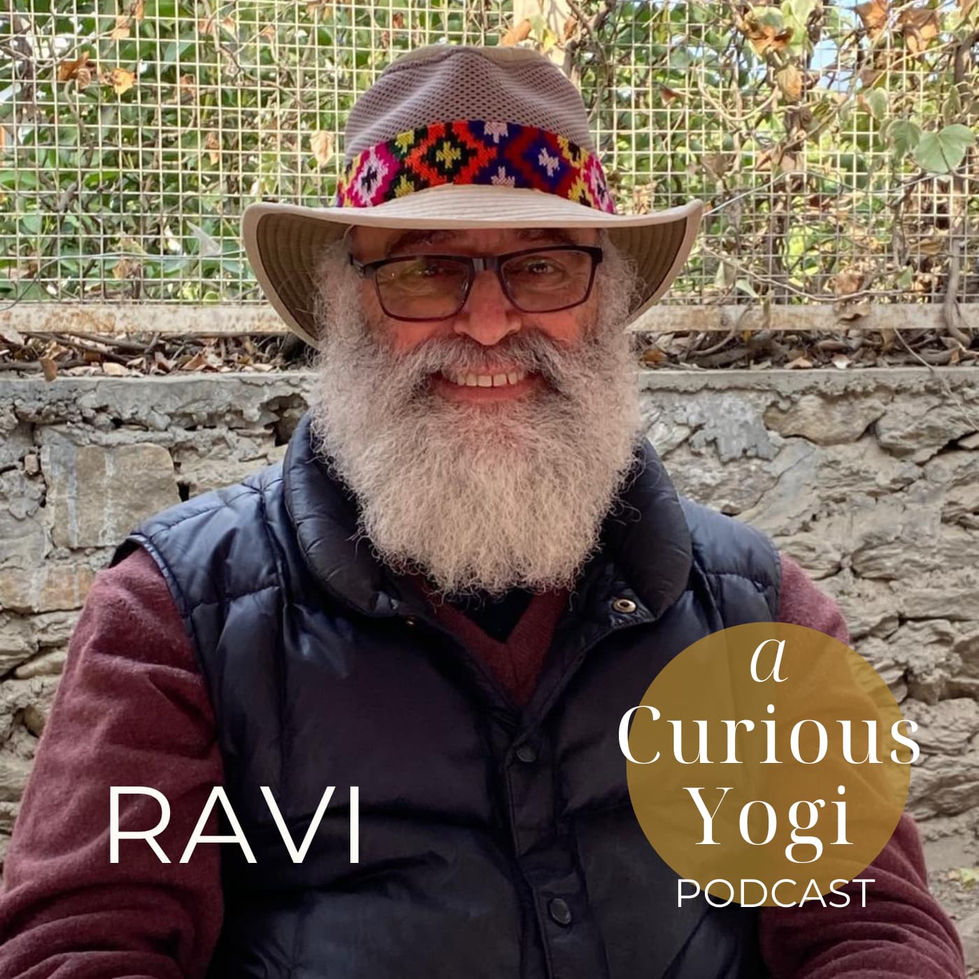 Sadhana Is Life! | Satsang with Ravi episode artwork