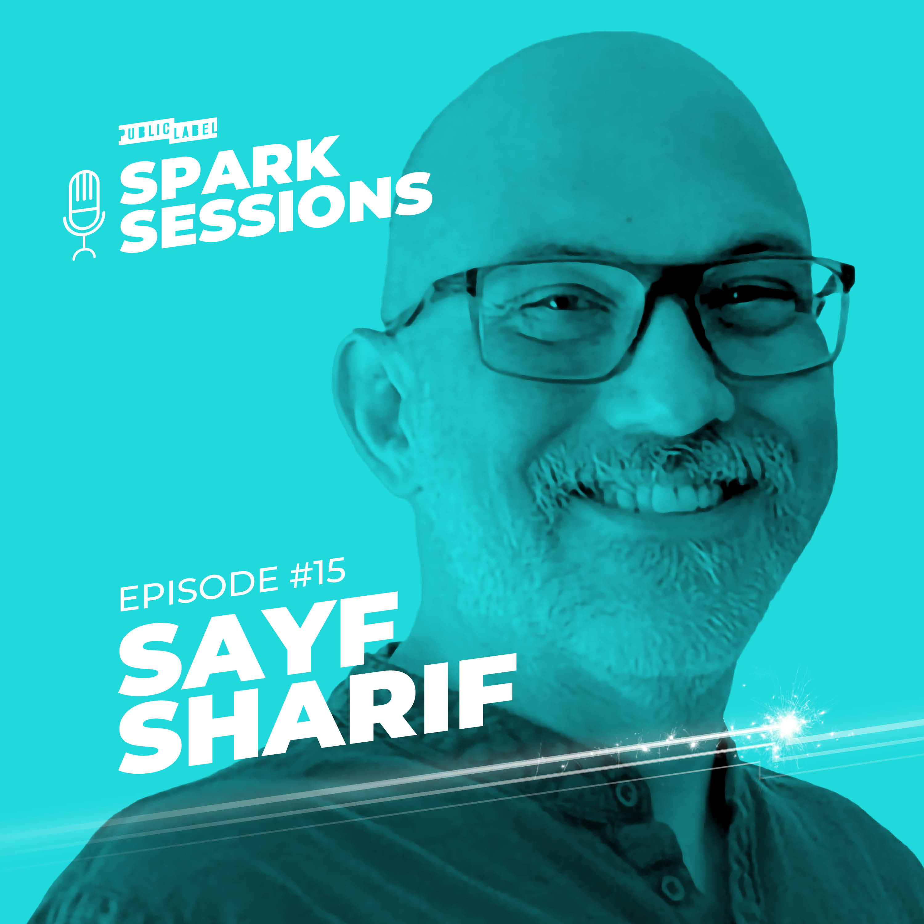 Episode 15: Decoding Consumer Behavior: Why Measurement Needs a New Mindset with Sayf Sharif episode artwork