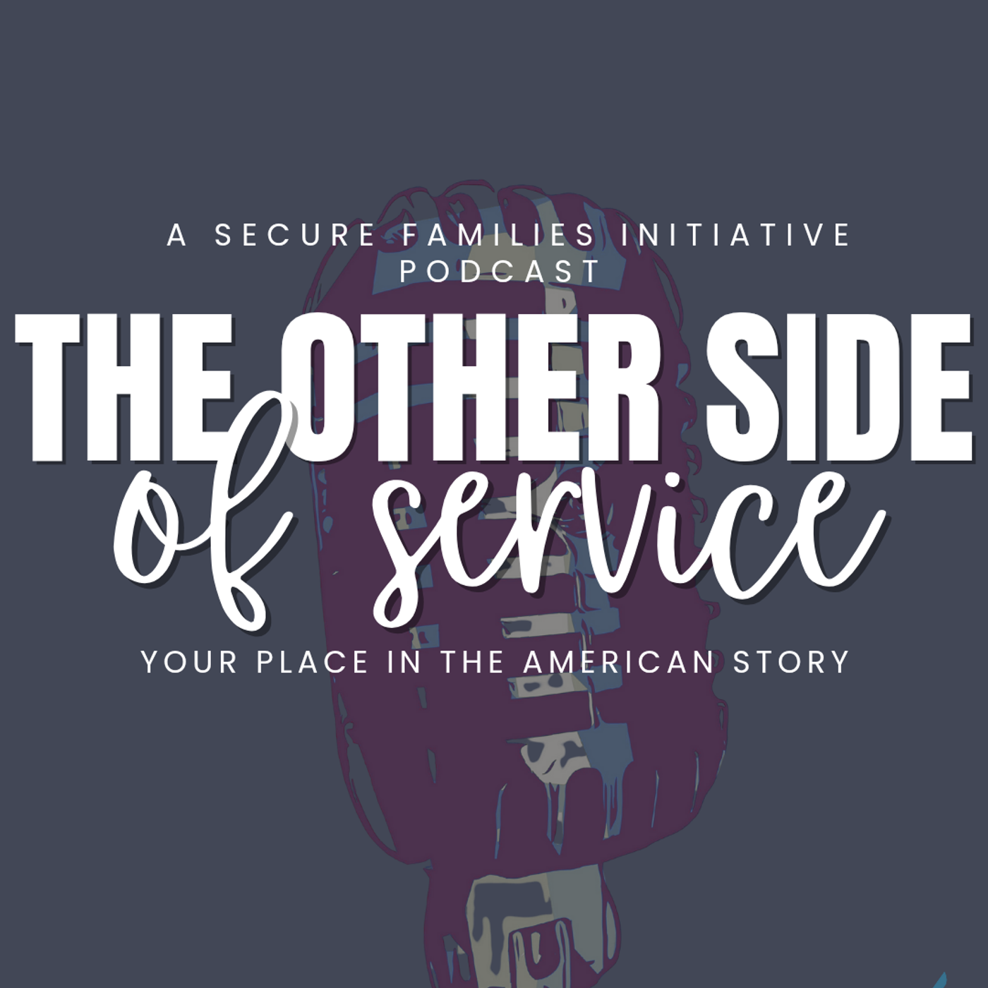 The Other Side of Service-  Your Place in the American Story podcast artwork