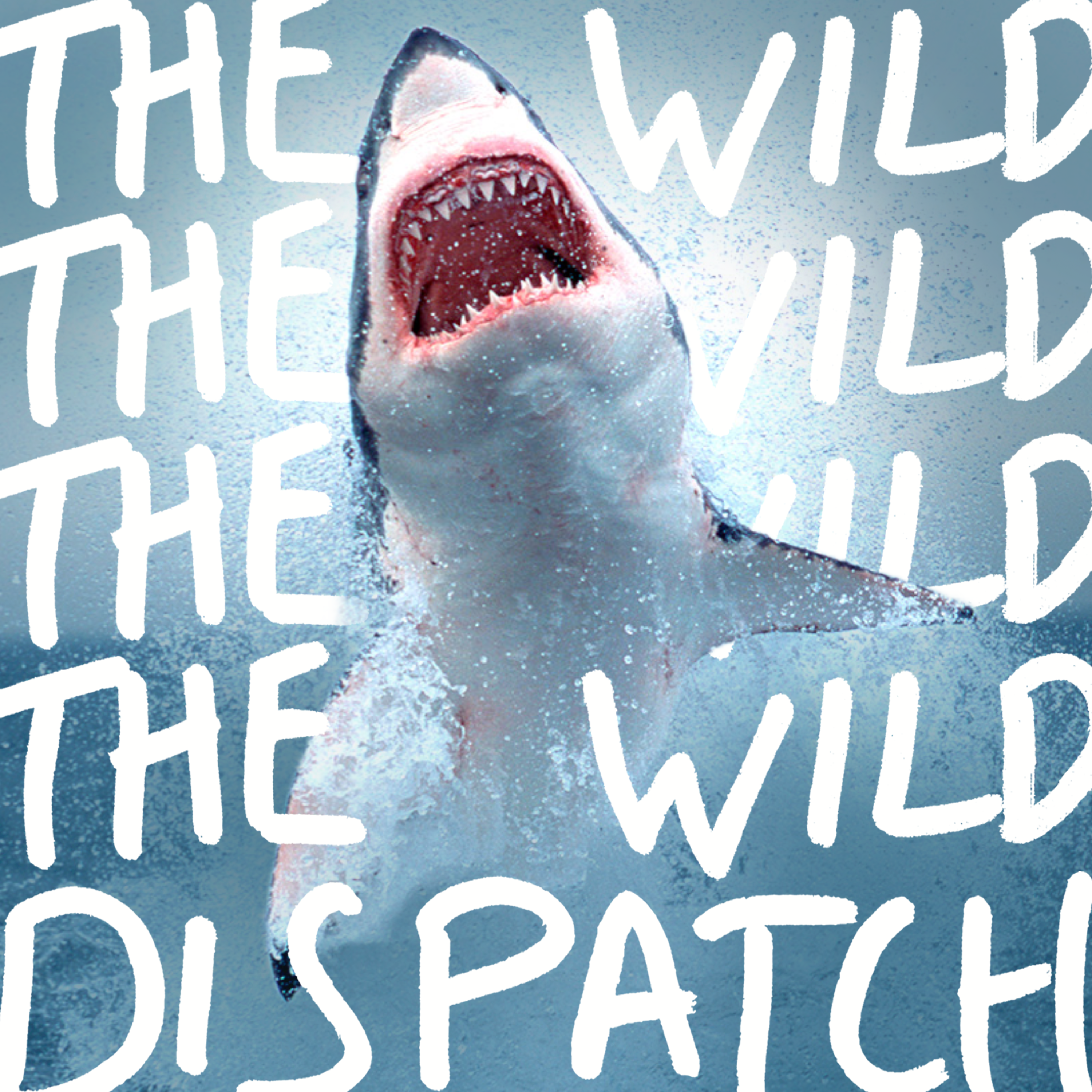 EP105: Punching a Great White Shark in the Face ↣ James Eastman episode artwork