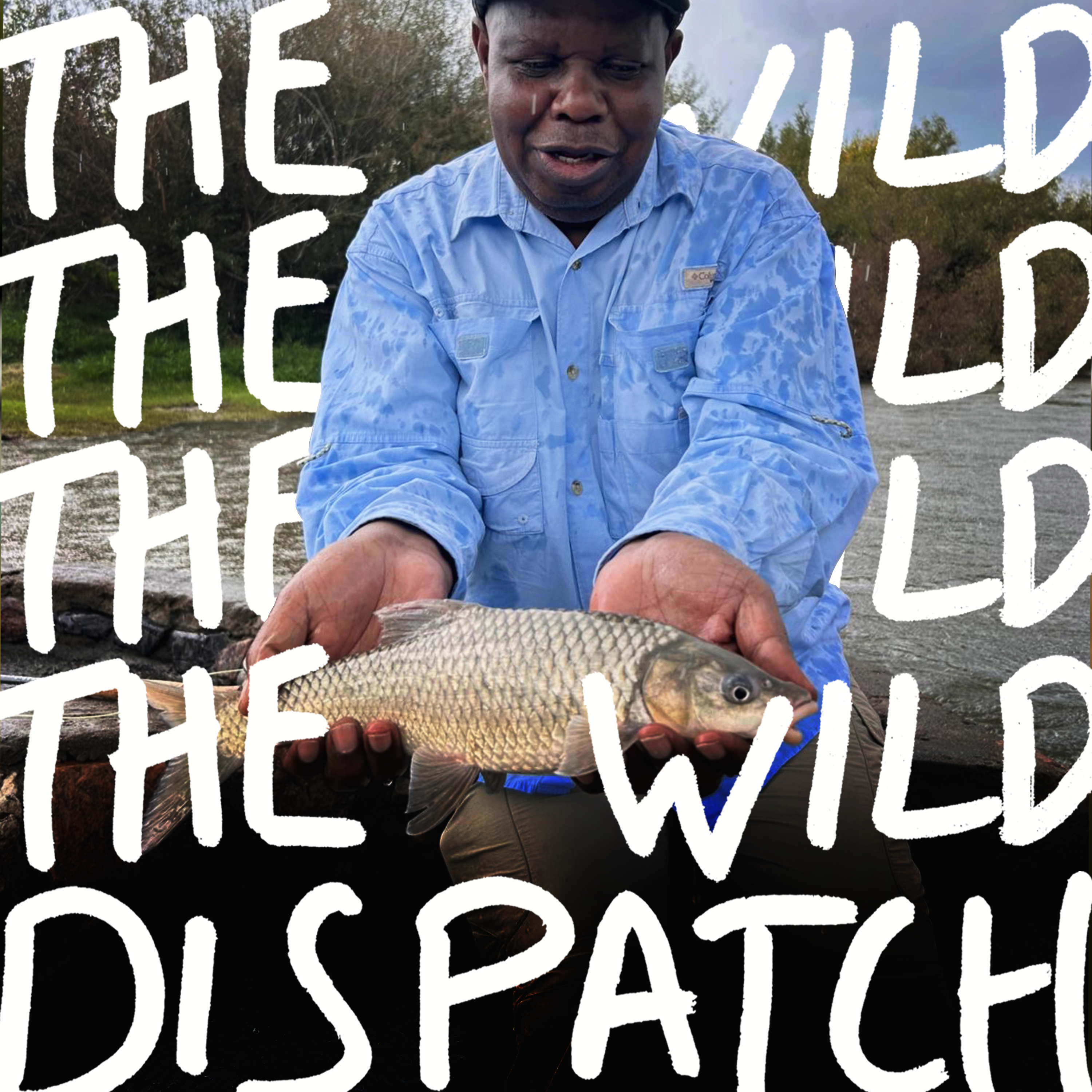 The Wild Dispatch