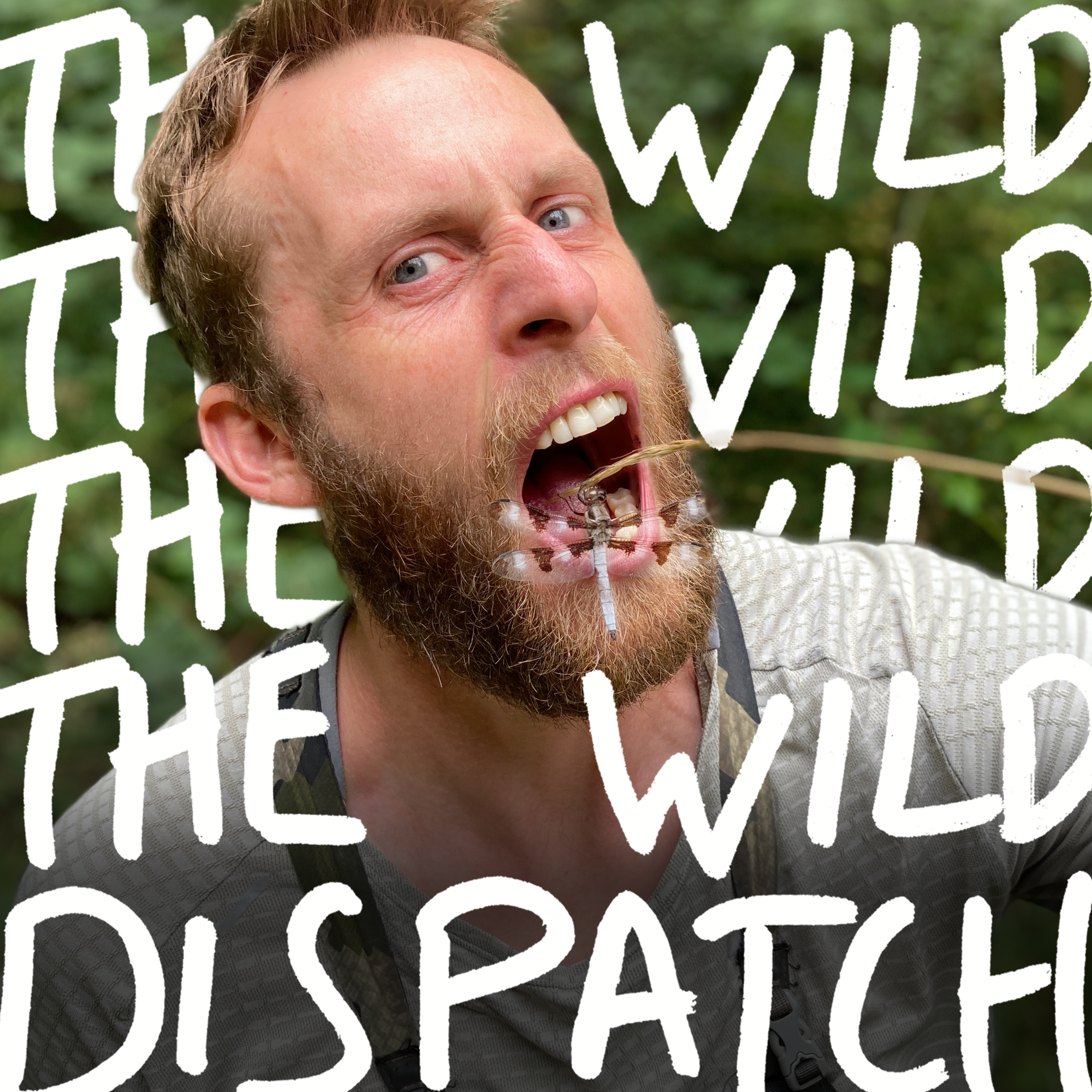 EP101: Wild Stories ↣ Alone's Kielyn Marrone & Joel van der Loon, and Aubrey Tidbury episode artwork