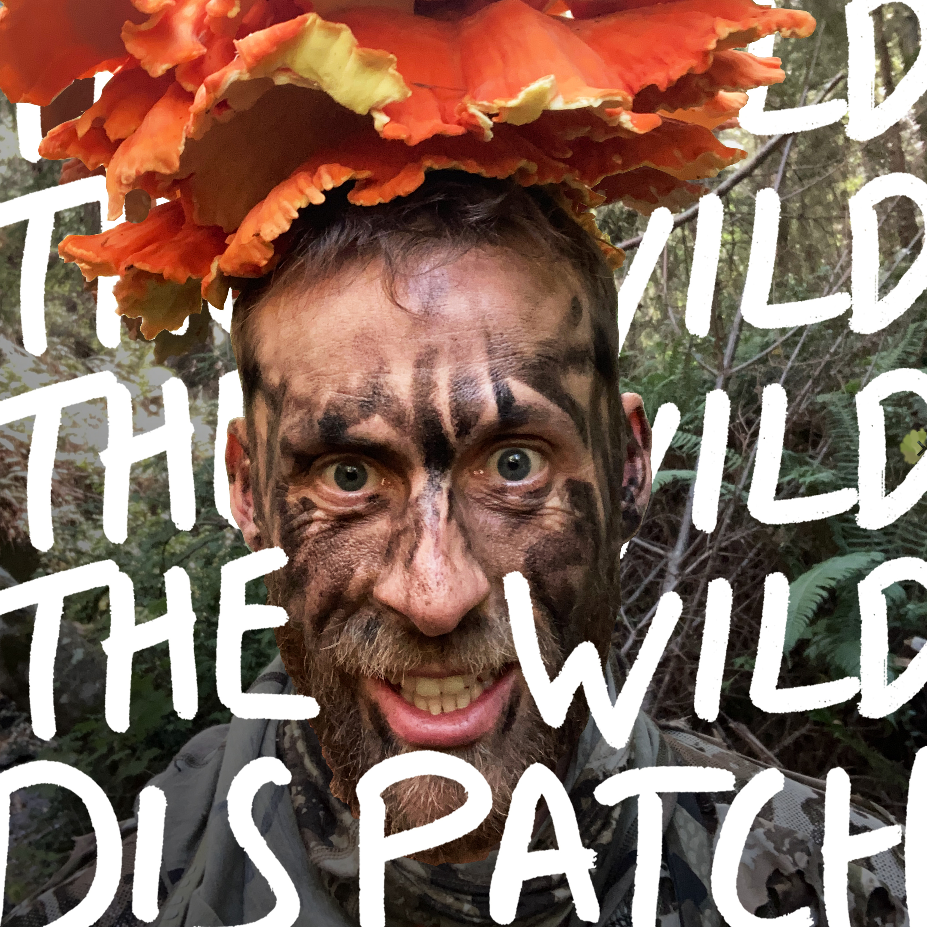 The Wild Dispatch Artwork