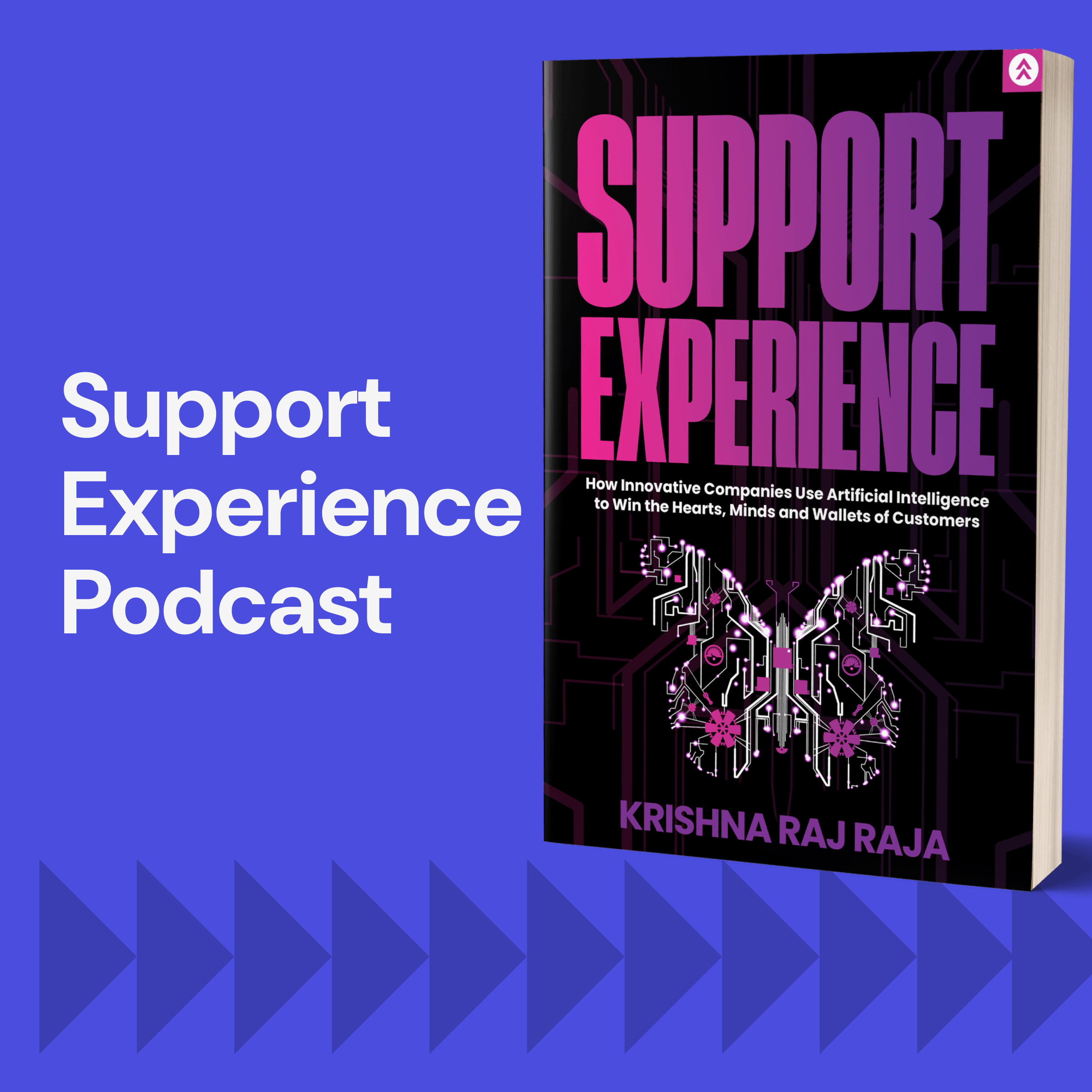 Support Experience podcast artwork