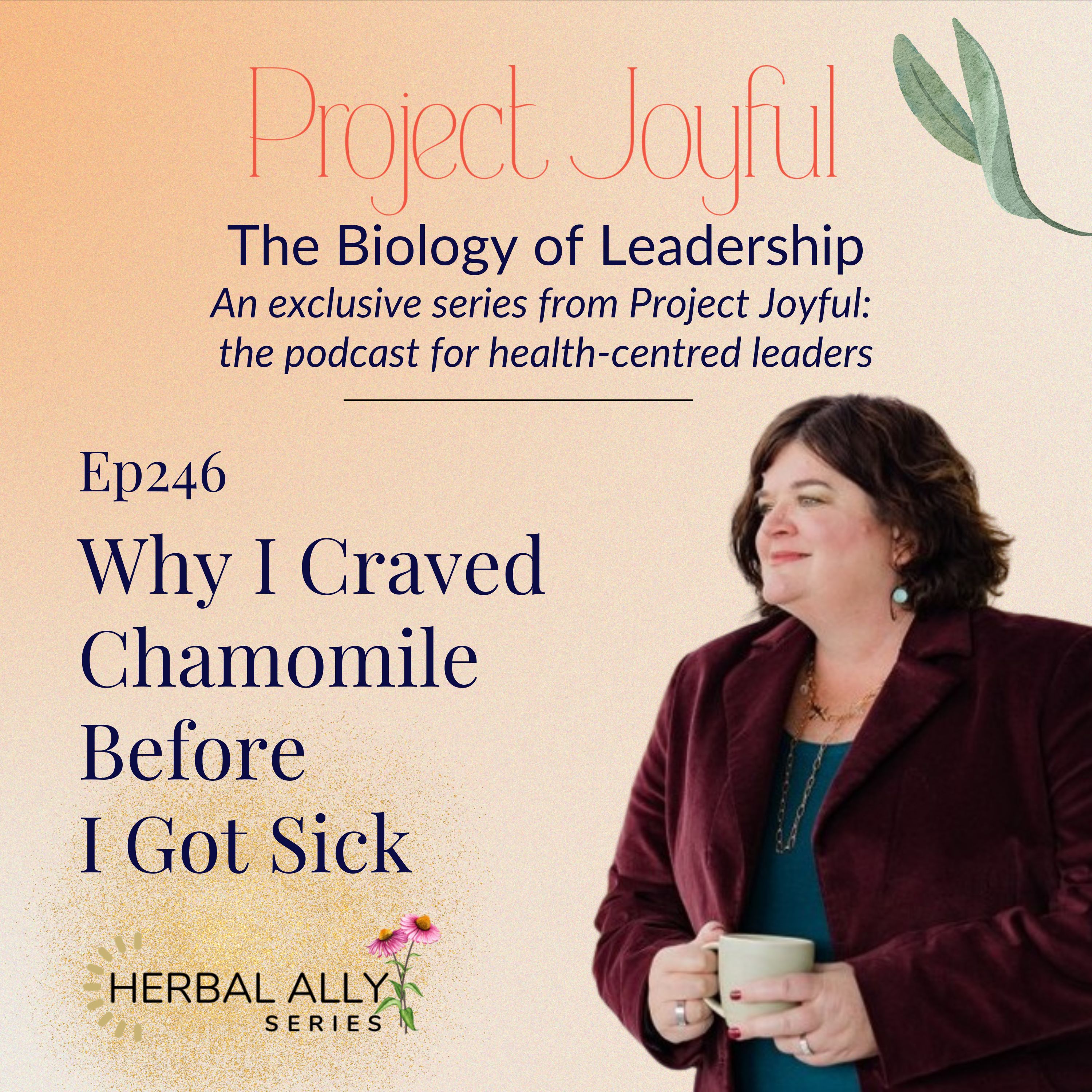 Why I Craved Chamomile Before I Got Sick episode artwork