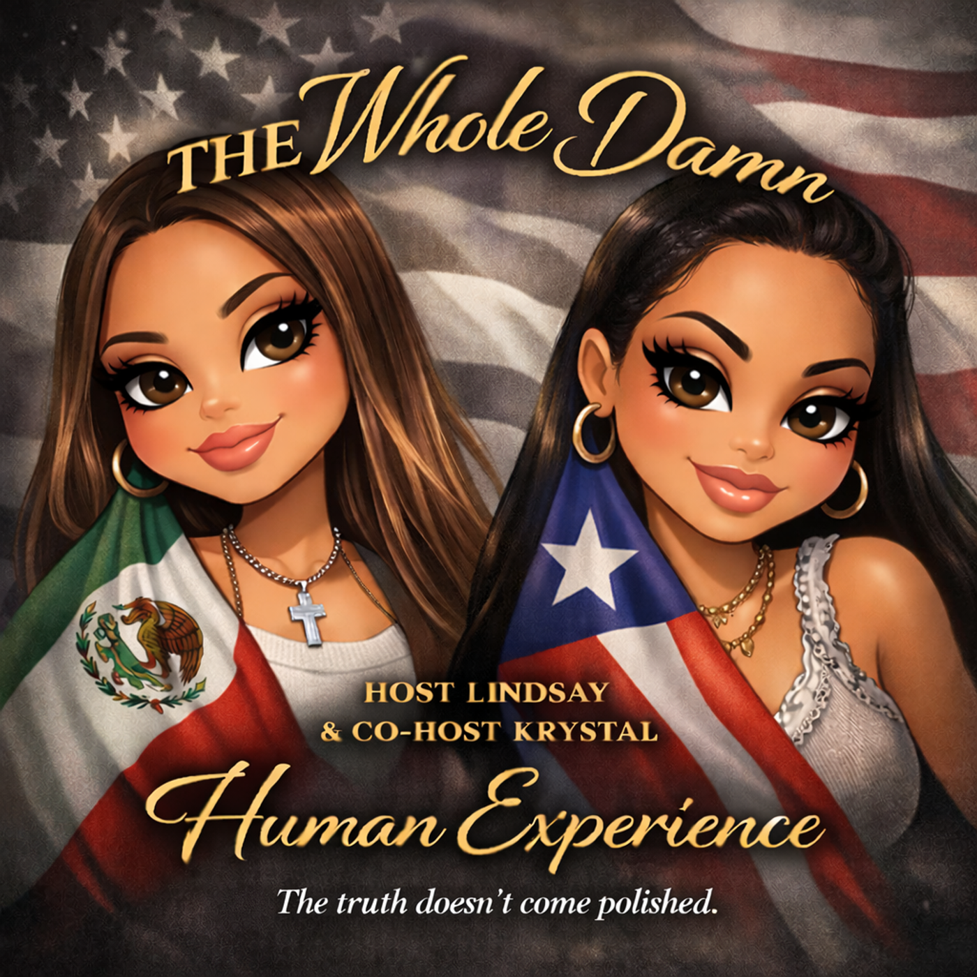 The Whole Damn Human Experience podcast artwork