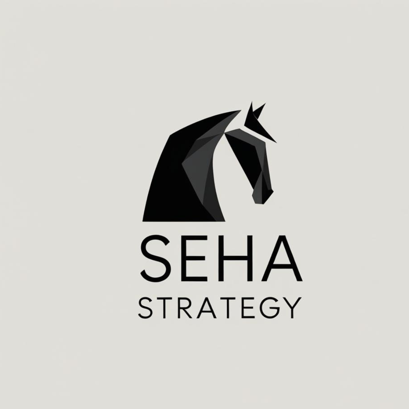 Seha Strategy by Dr Junaid Hussain.  استراتيجية الصحة مع د جنيد حسين