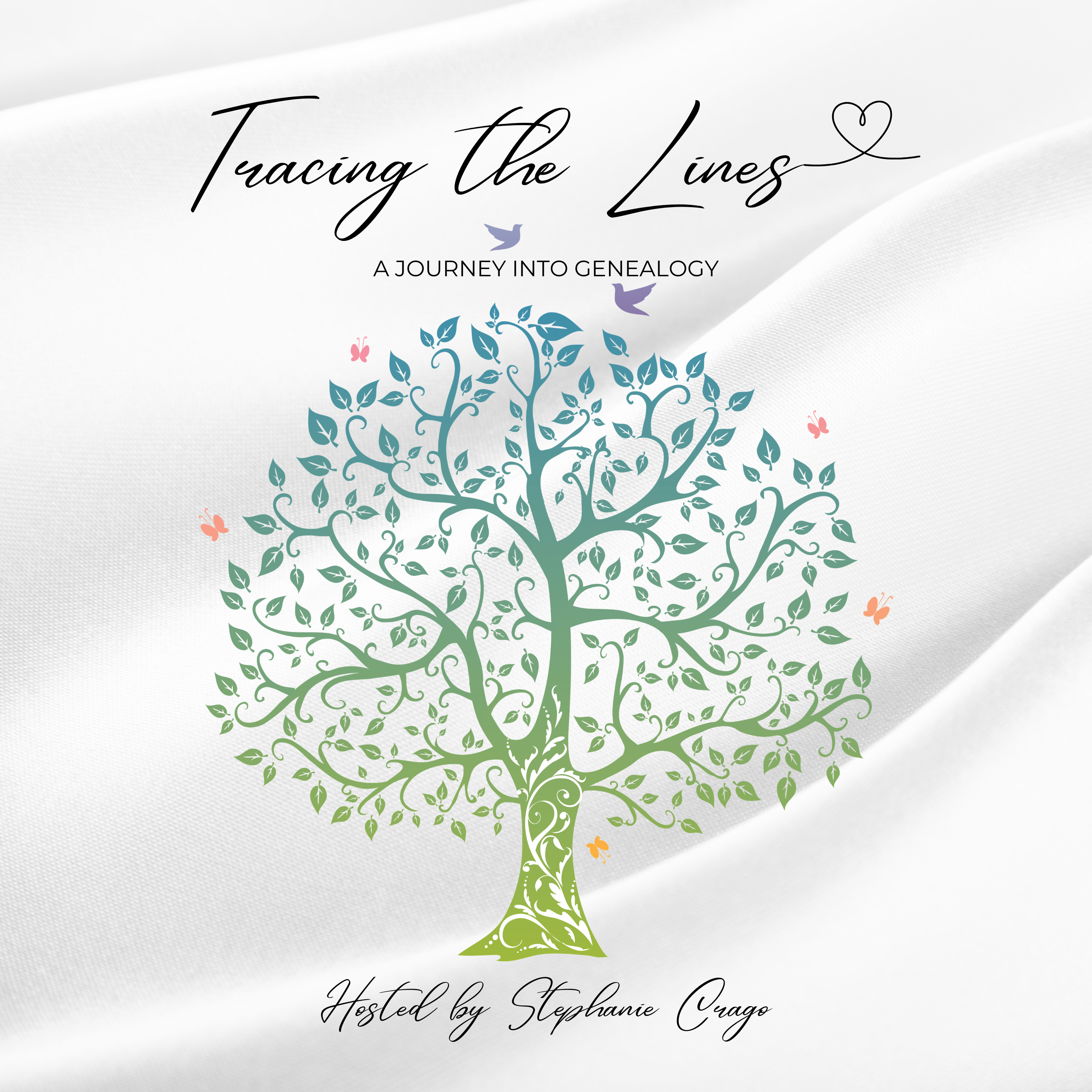 Tracing The Lines