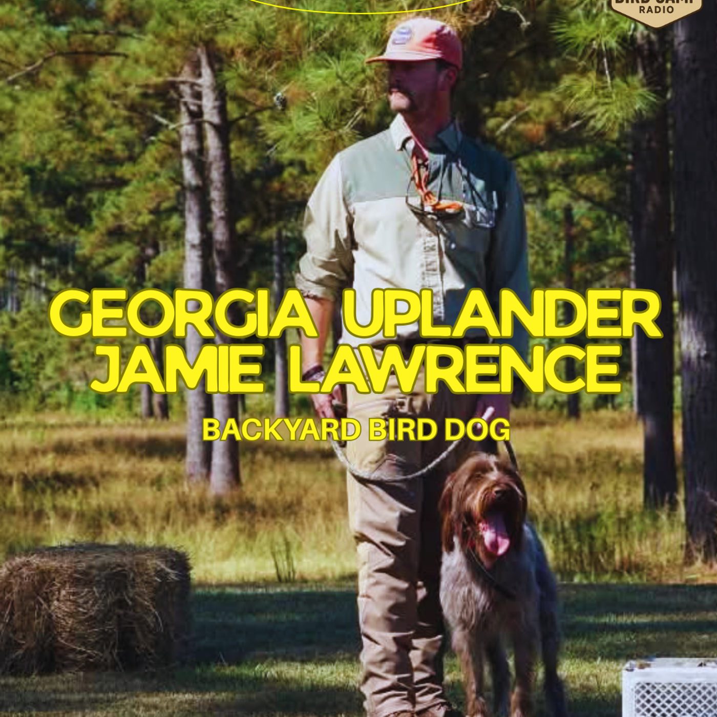 Ep. 41: The Backyard Bird Dog: from Field to Family with Jamie Lawrence episode artwork