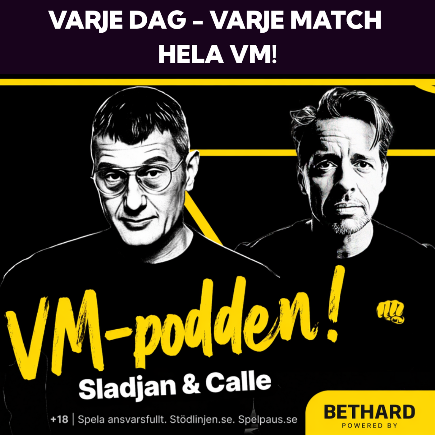 143. Avgörandet episode artwork