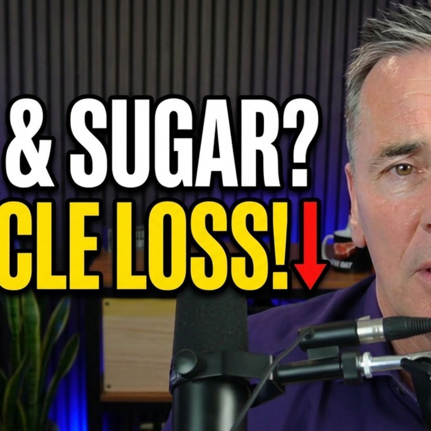 Sugar and Rice Diet episode artwork