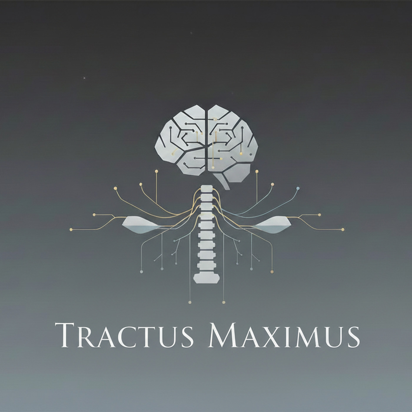 Tractus Maximus