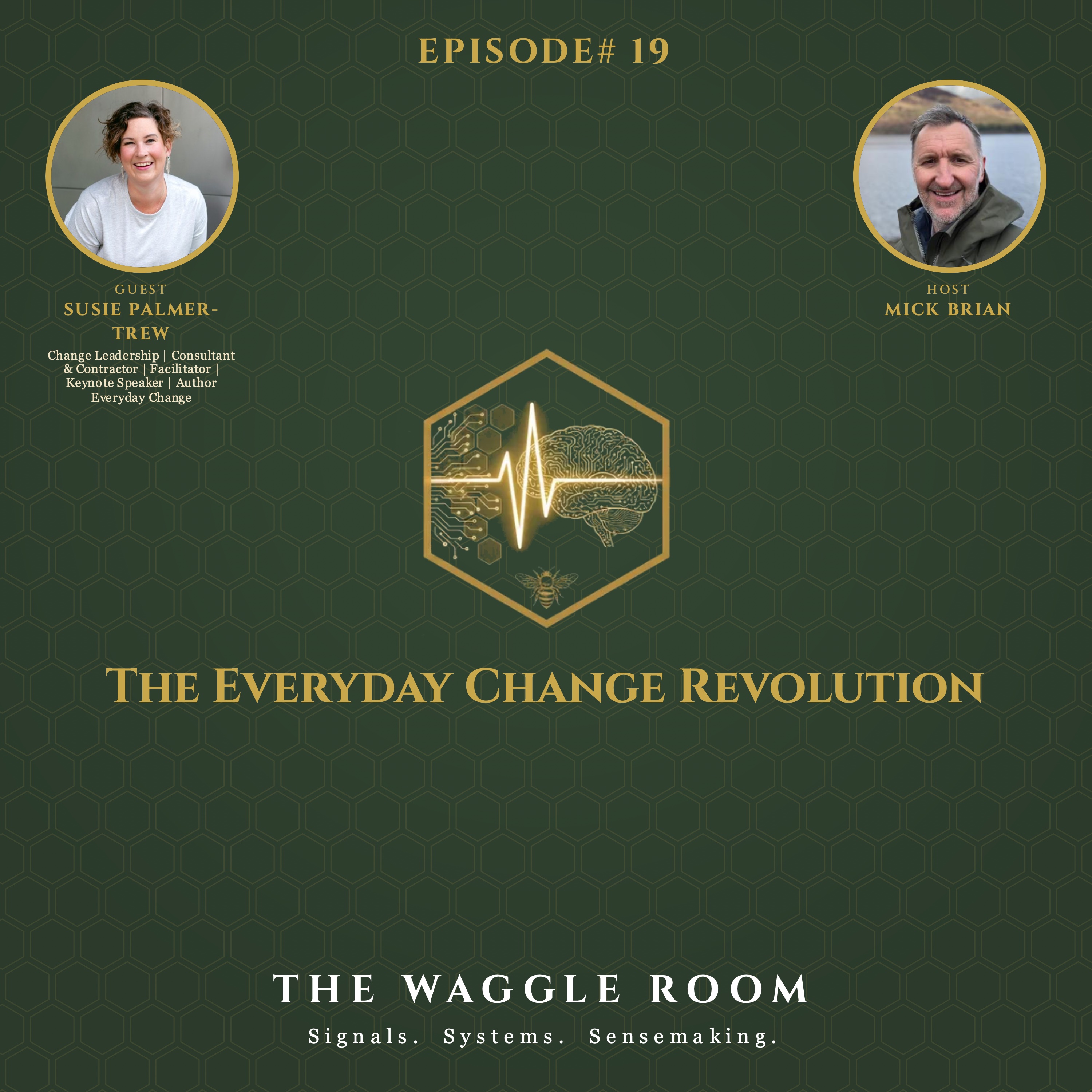 The Waggle Room - Ep19 - Susie Palmer-Trew - The Everyday Change Revolution episode artwork