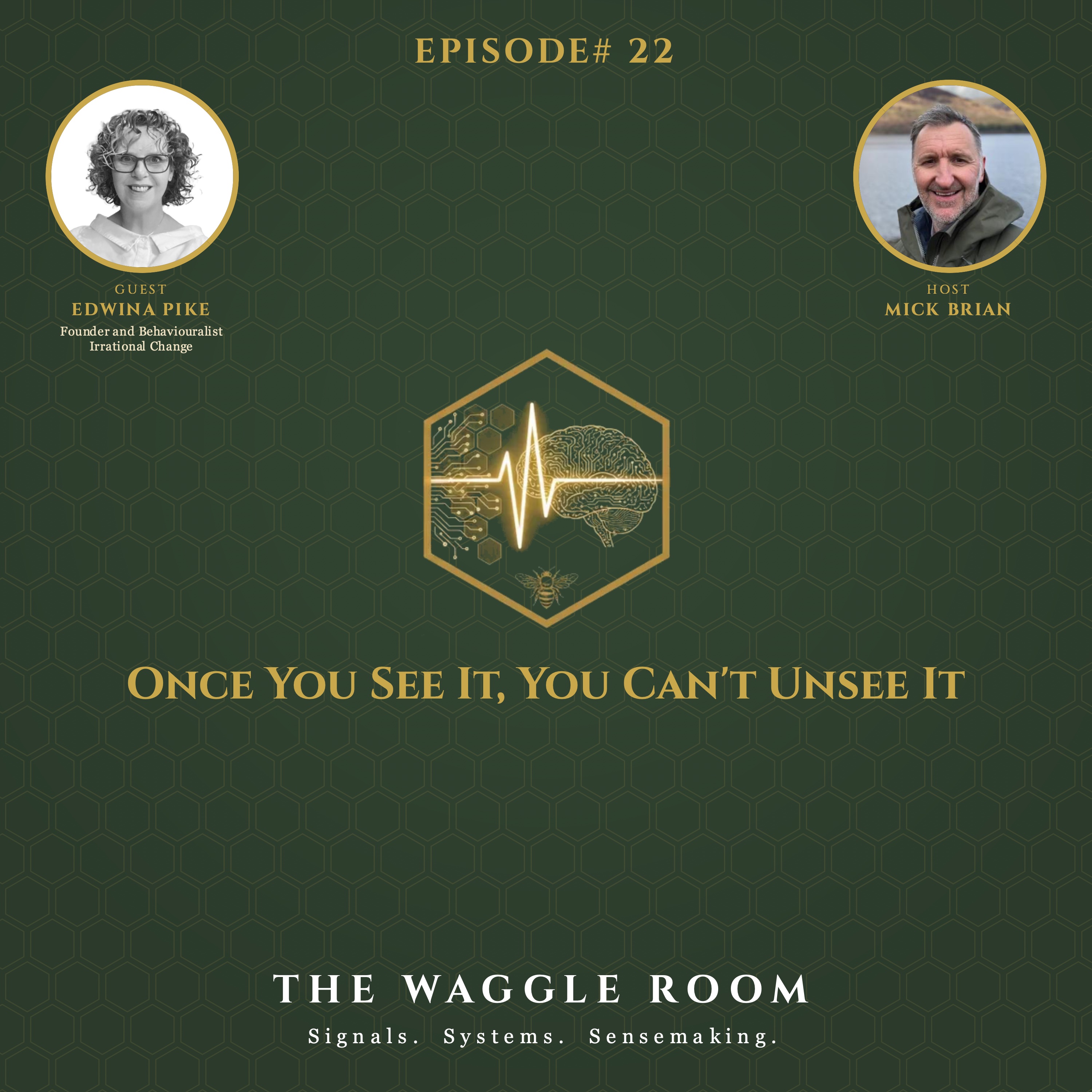 The Waggle Room - Ep22 - Ed Pike - Once You See It, You Can't Unsee It episode artwork