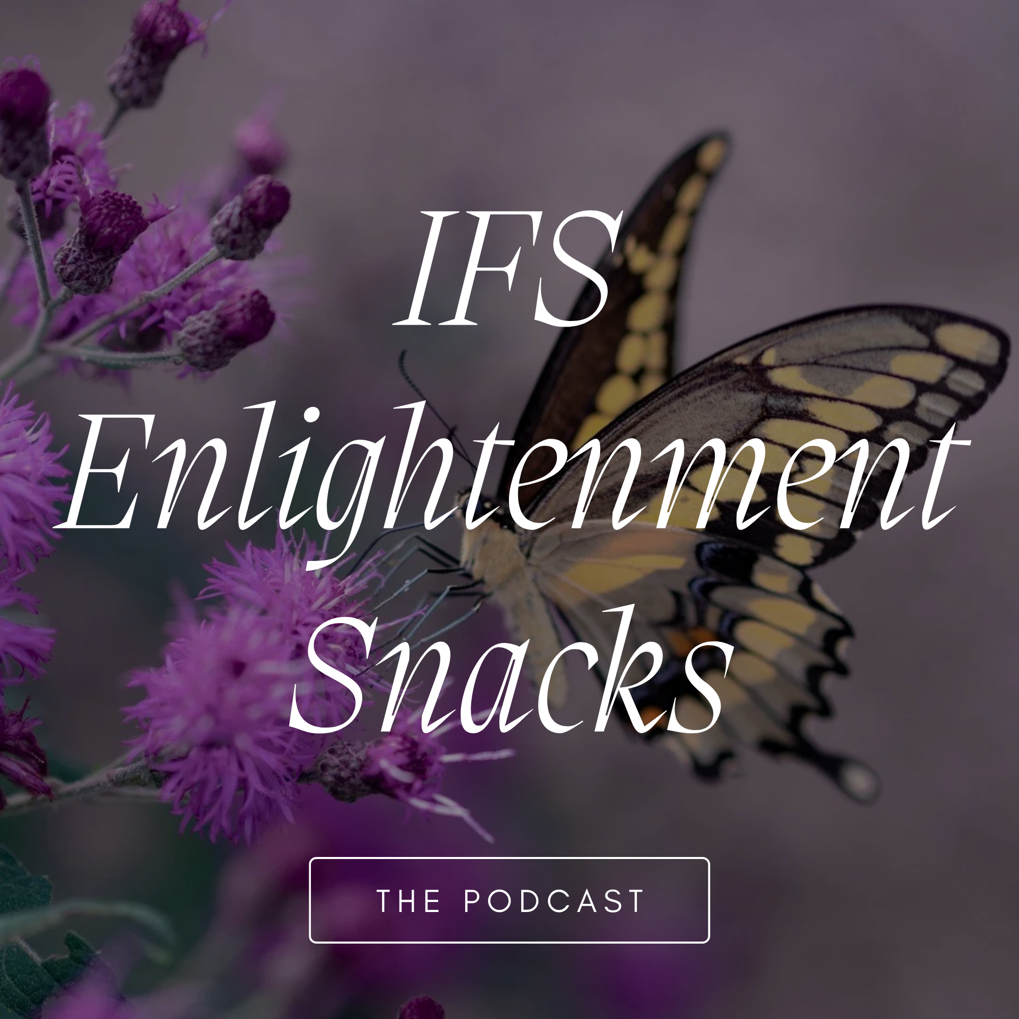 IFS Enlightenment Snacks