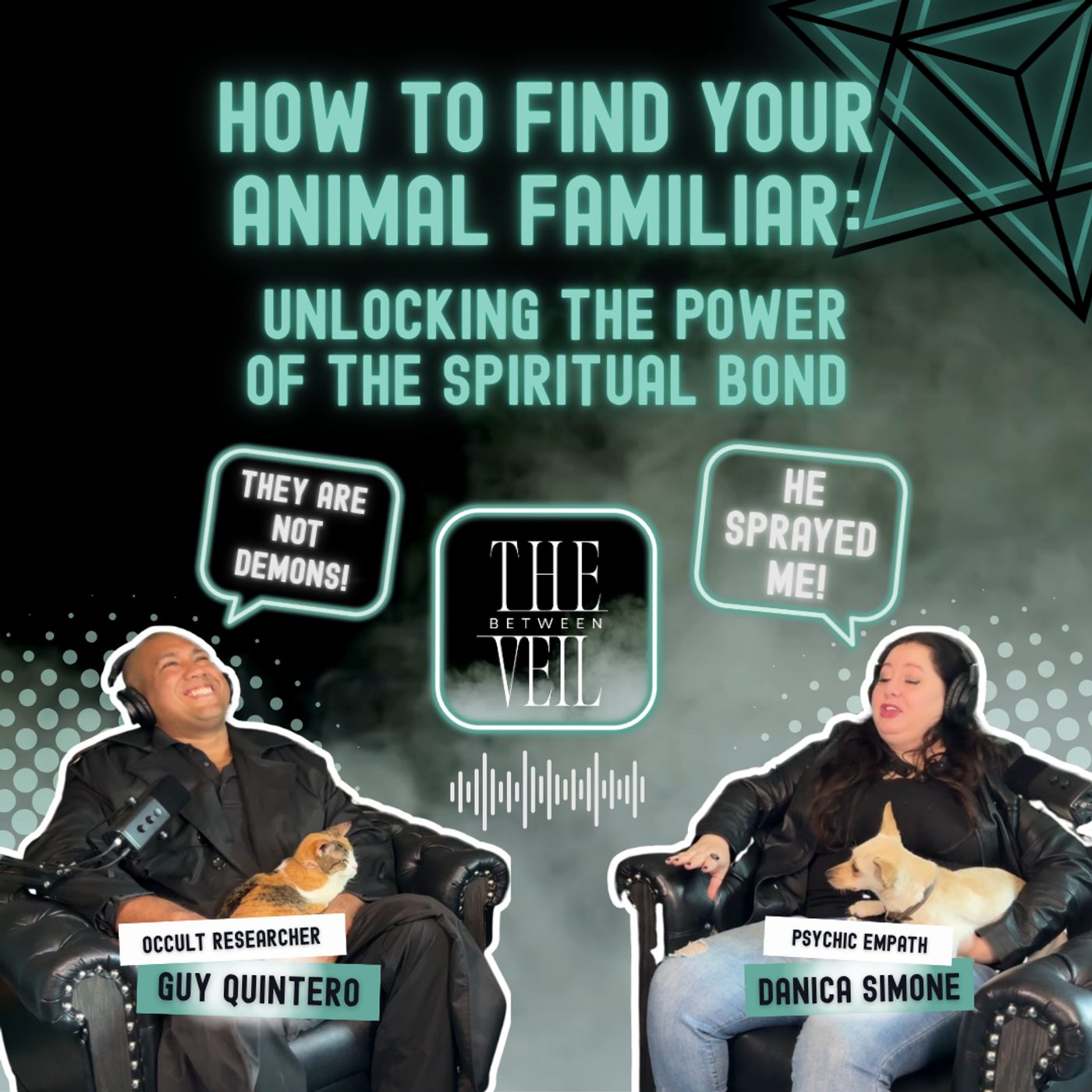 How to Find Your Animal Familiar: Unlocking The Power of the Spiritual Bond | TVB Ep. 16 episode artwork