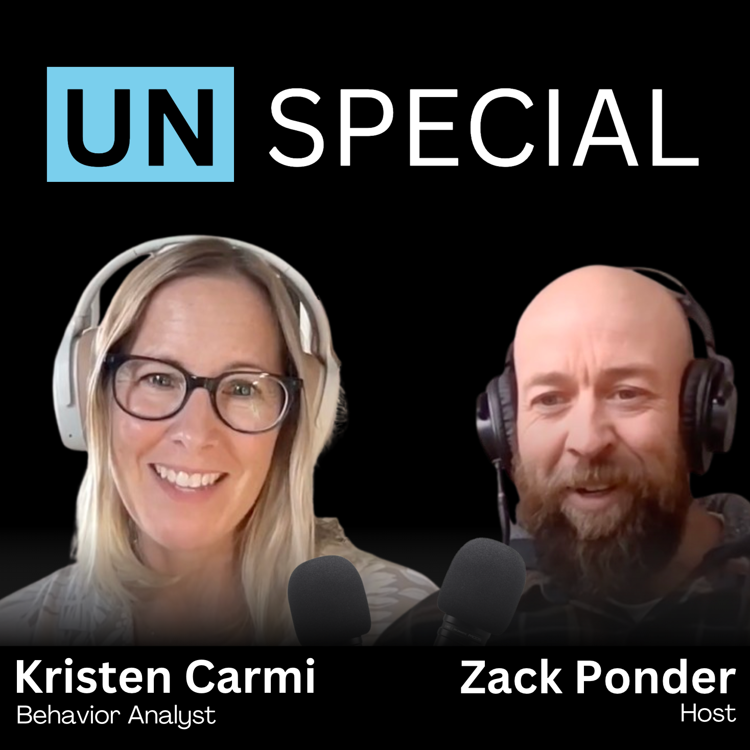 Do you Really Need an IEP Advocate? episode artwork