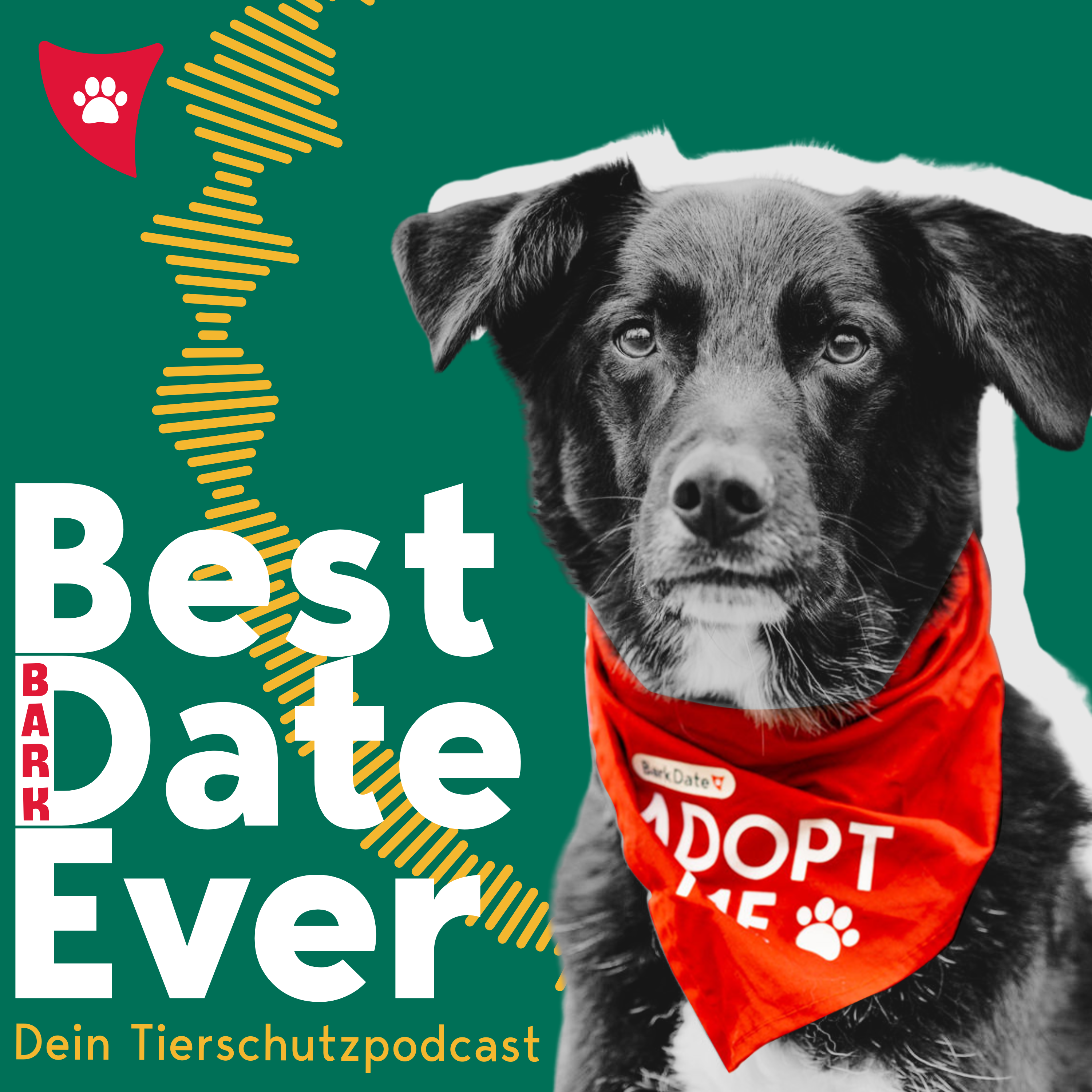 Best (Bark) Date ever!