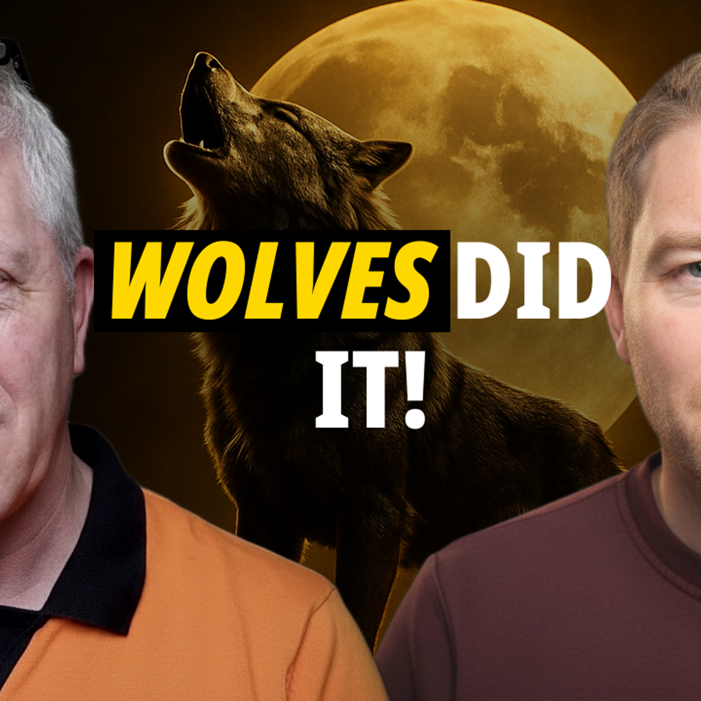 Wolves (a) | Professor Andy Westwood episode artwork