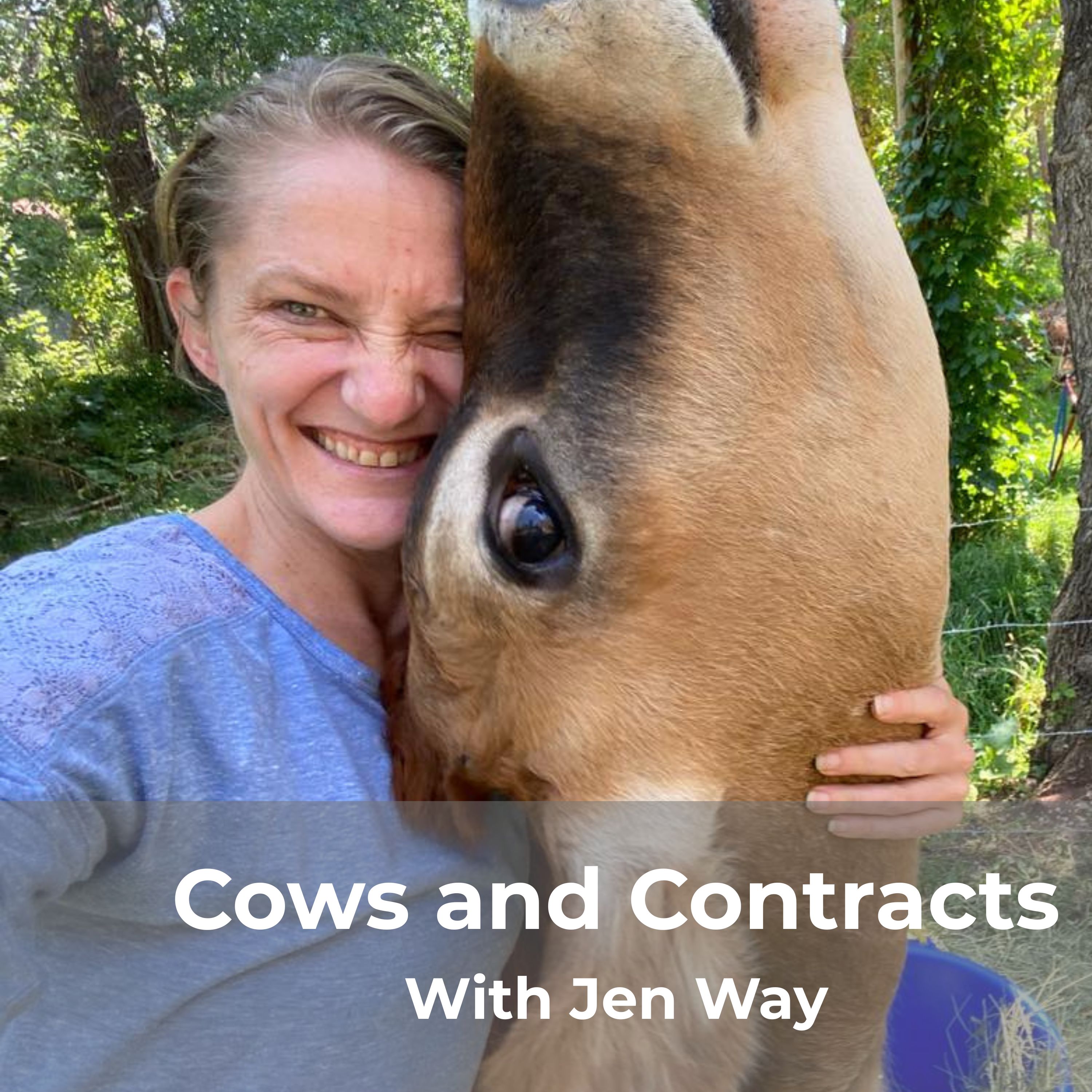 Cows and Contracts