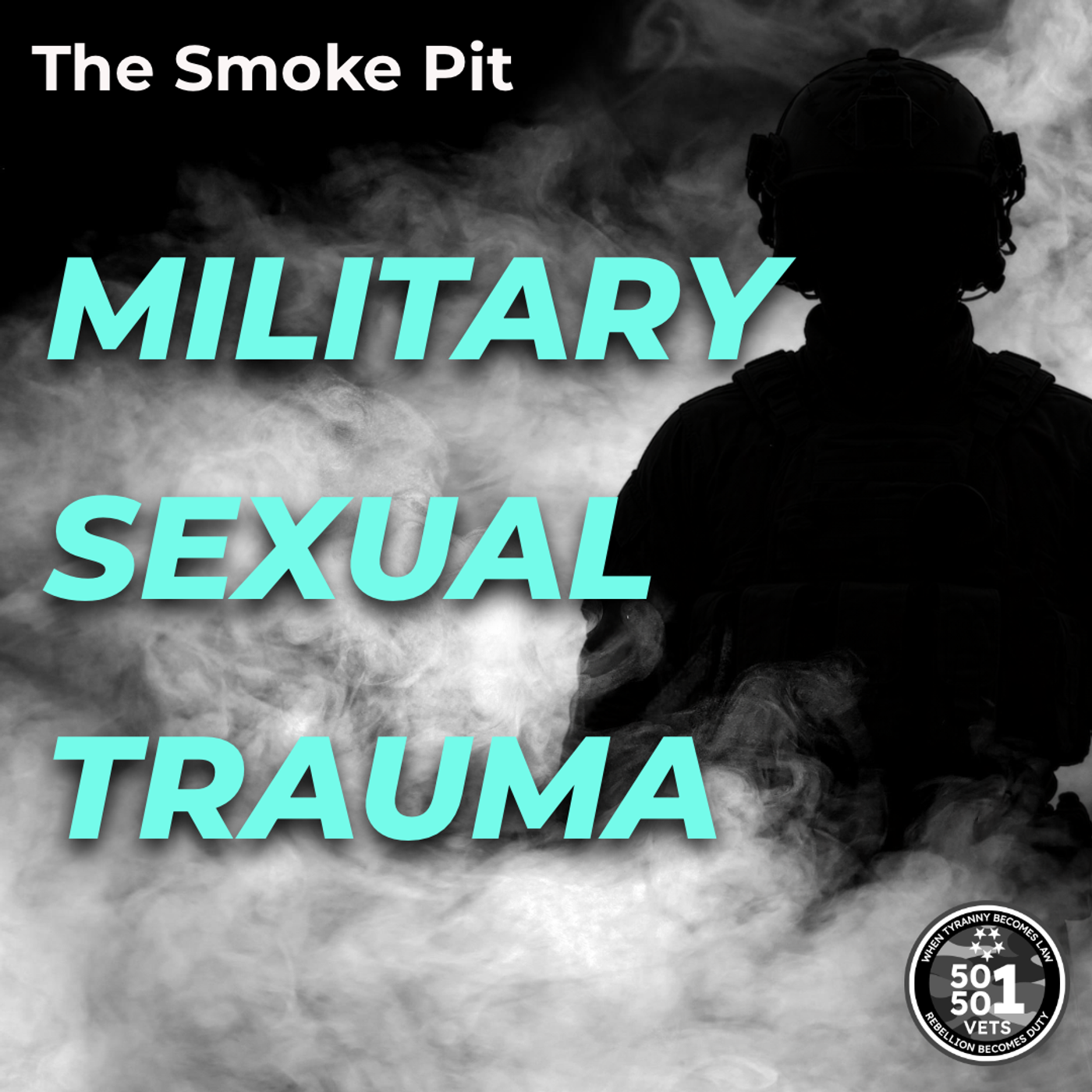 The Hidden Epidemic: Military Sexual Trauma Exposed episode artwork