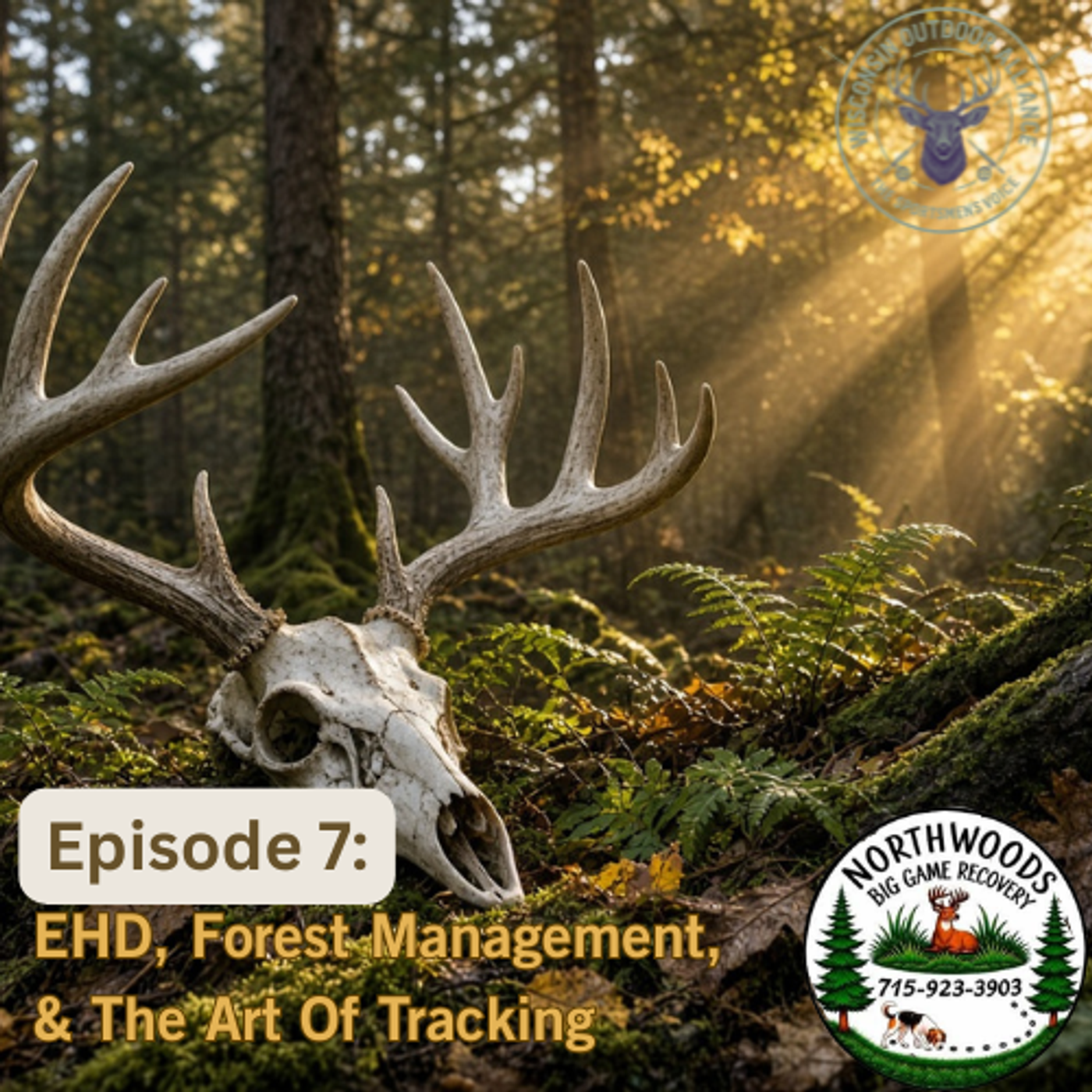 EHD, Forest Management & the Art of Tracking | The Sportsmen's Voice – Episode 7 episode artwork