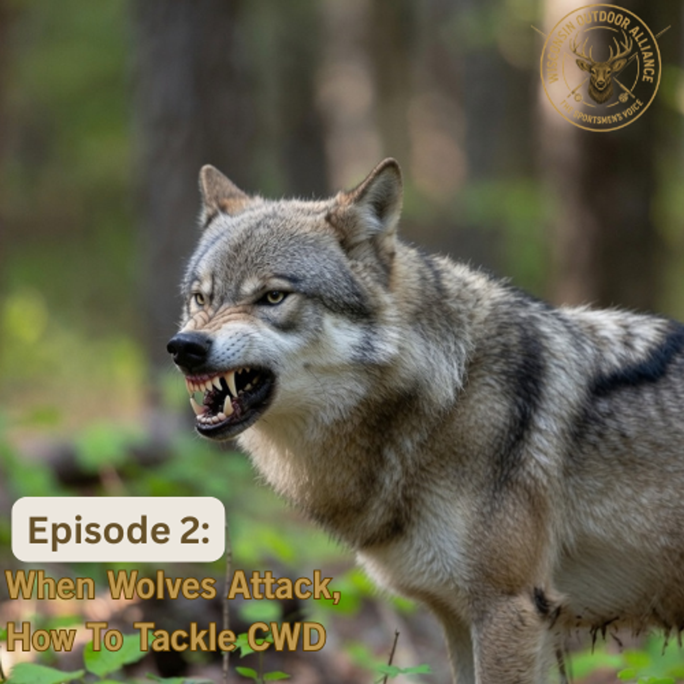When Wolves Attack + What Is CWD: The Sportsmen's Voice - Episode 2 episode artwork