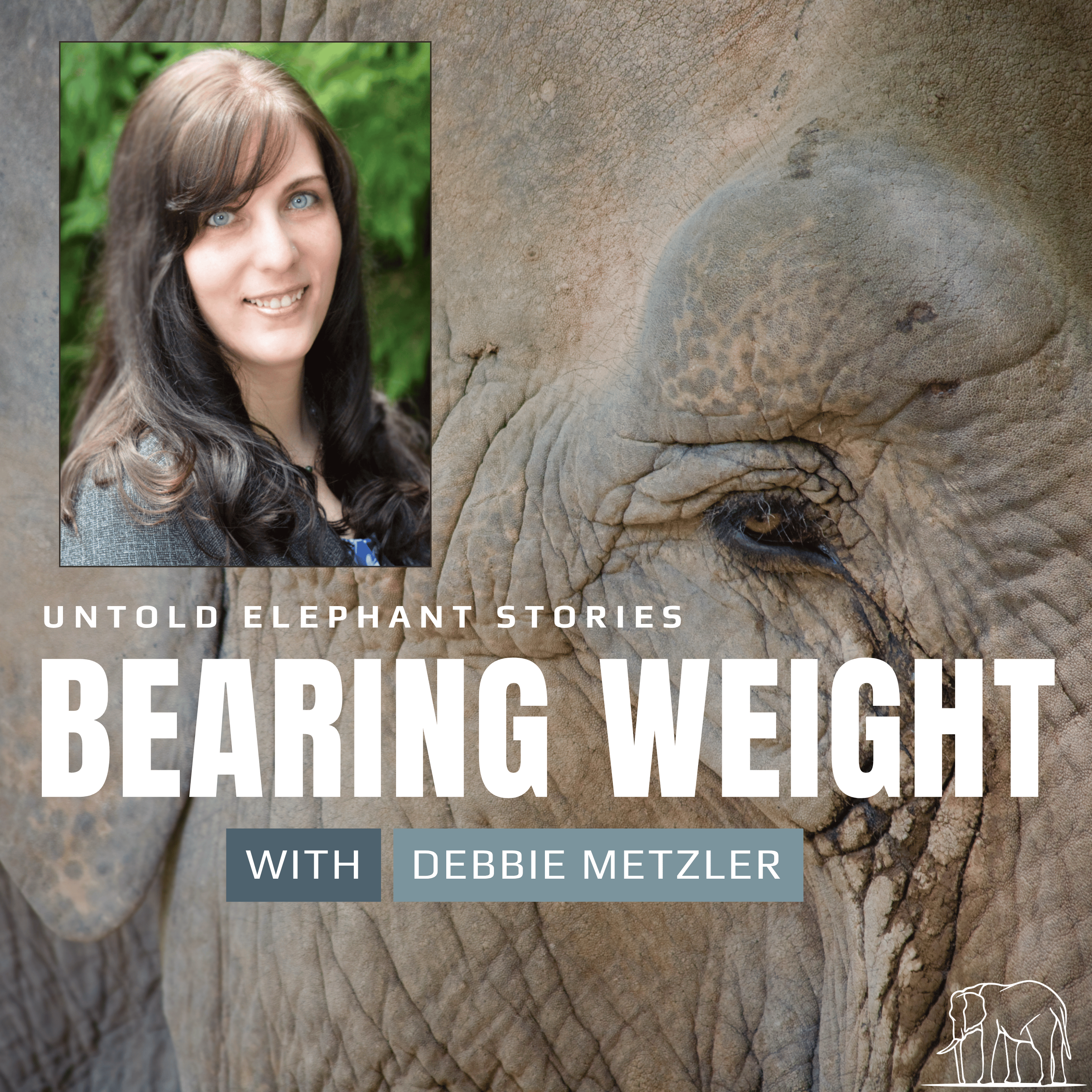 Jordan World Circus Ends Elephant Acts for 2026 — with Debbie Metzler, PETA episode artwork