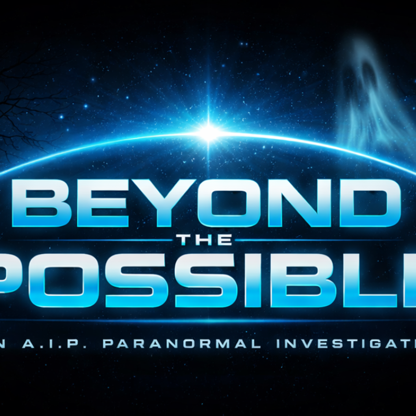 A.I.P (ANYTHING IS POSSIBLE)