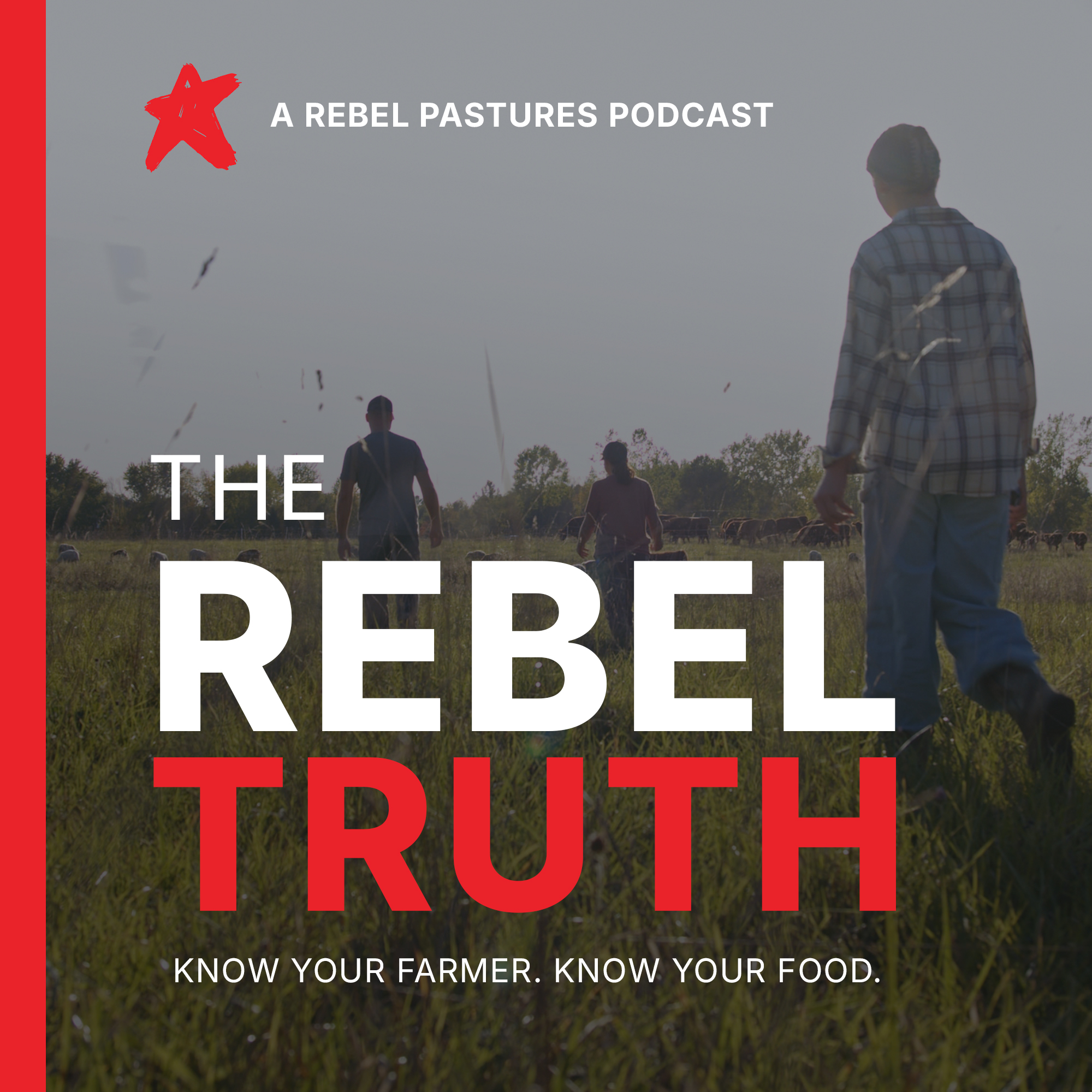 The Rebel Truth