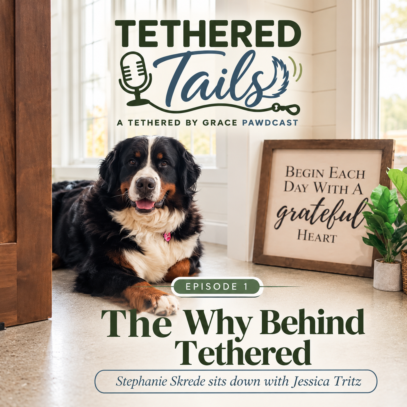 The Why Behind Tethered episode artwork