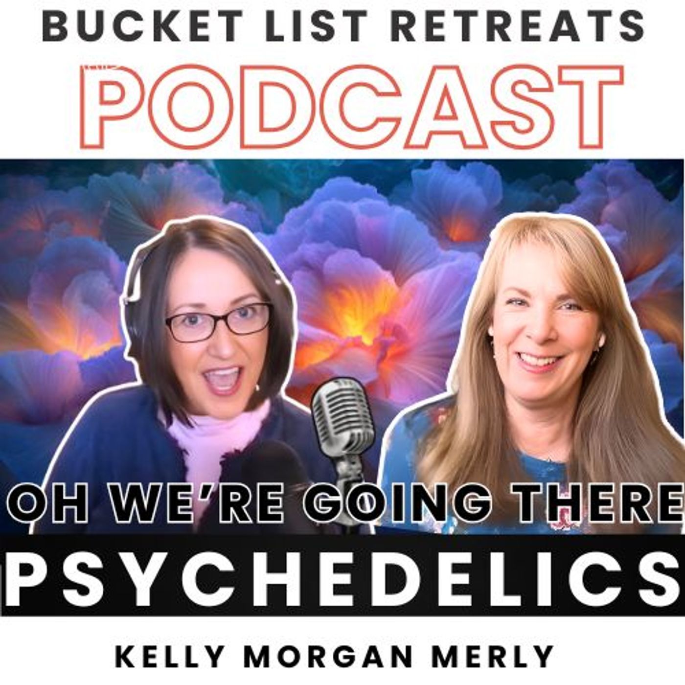 Interview with a Friend: A Real Conversation About Psychedelics episode artwork