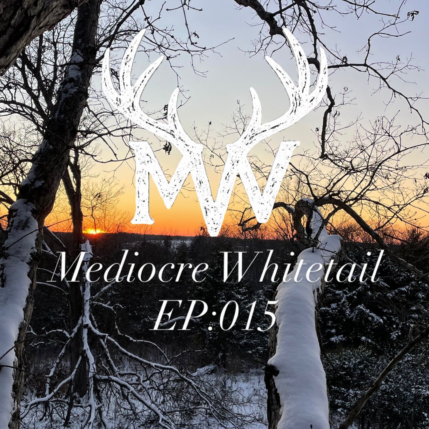 EP:015 One For the Dads episode artwork