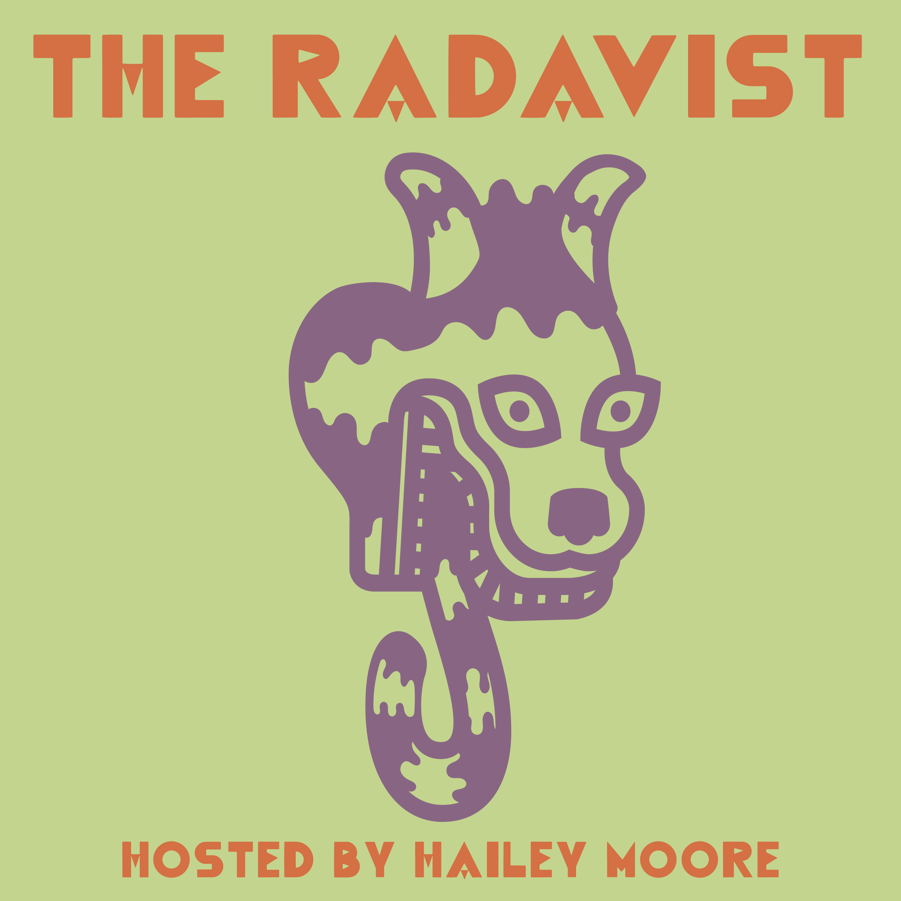 The Radavist Podcast podcast artwork