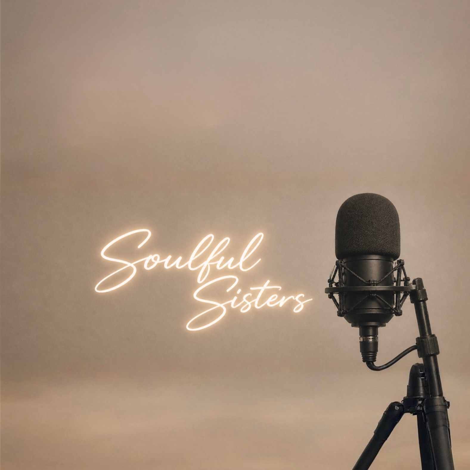 Let Us introduce ourselves.
SOULFUL SISTERS episode artwork