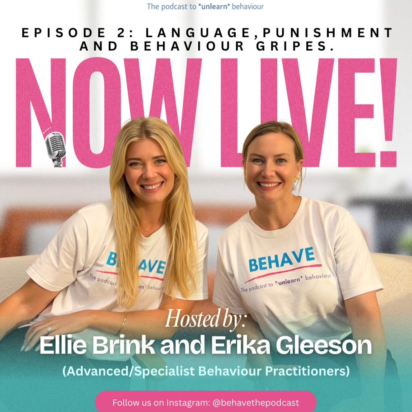 Episode 2: Words Matter - Why Behaviour Isn't What You Think It Is episode artwork
