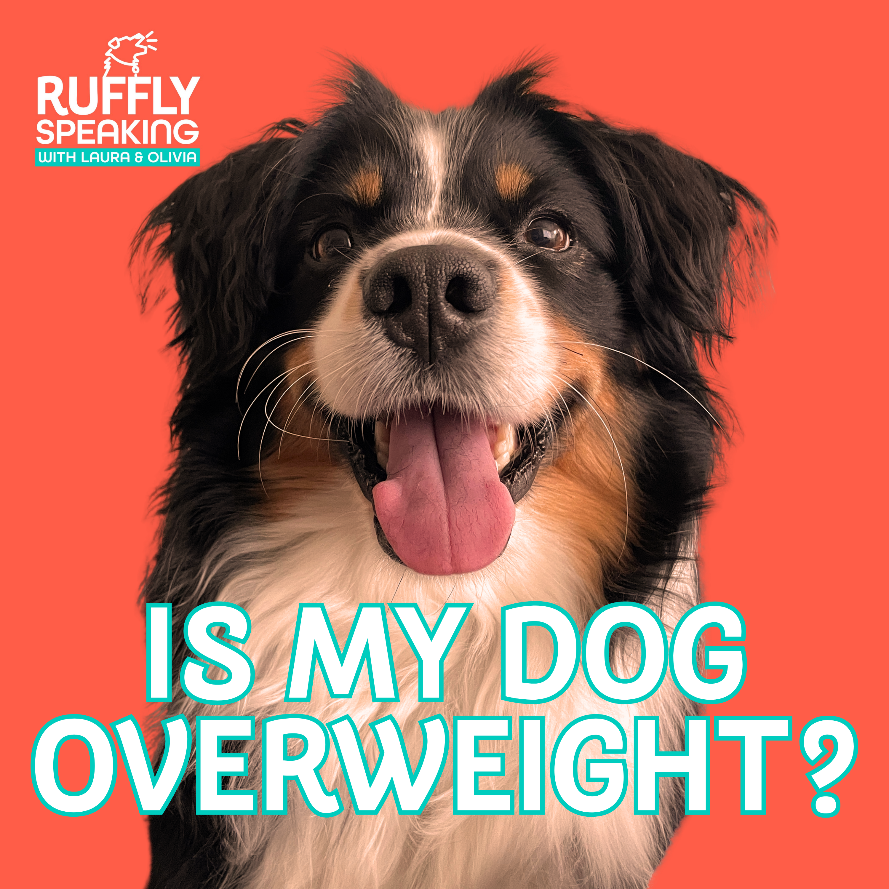Ep.12 - “Wait…Is My Dog Overweight?!” Chunky Dog Denial, Facing Reality, and Doggie Diets