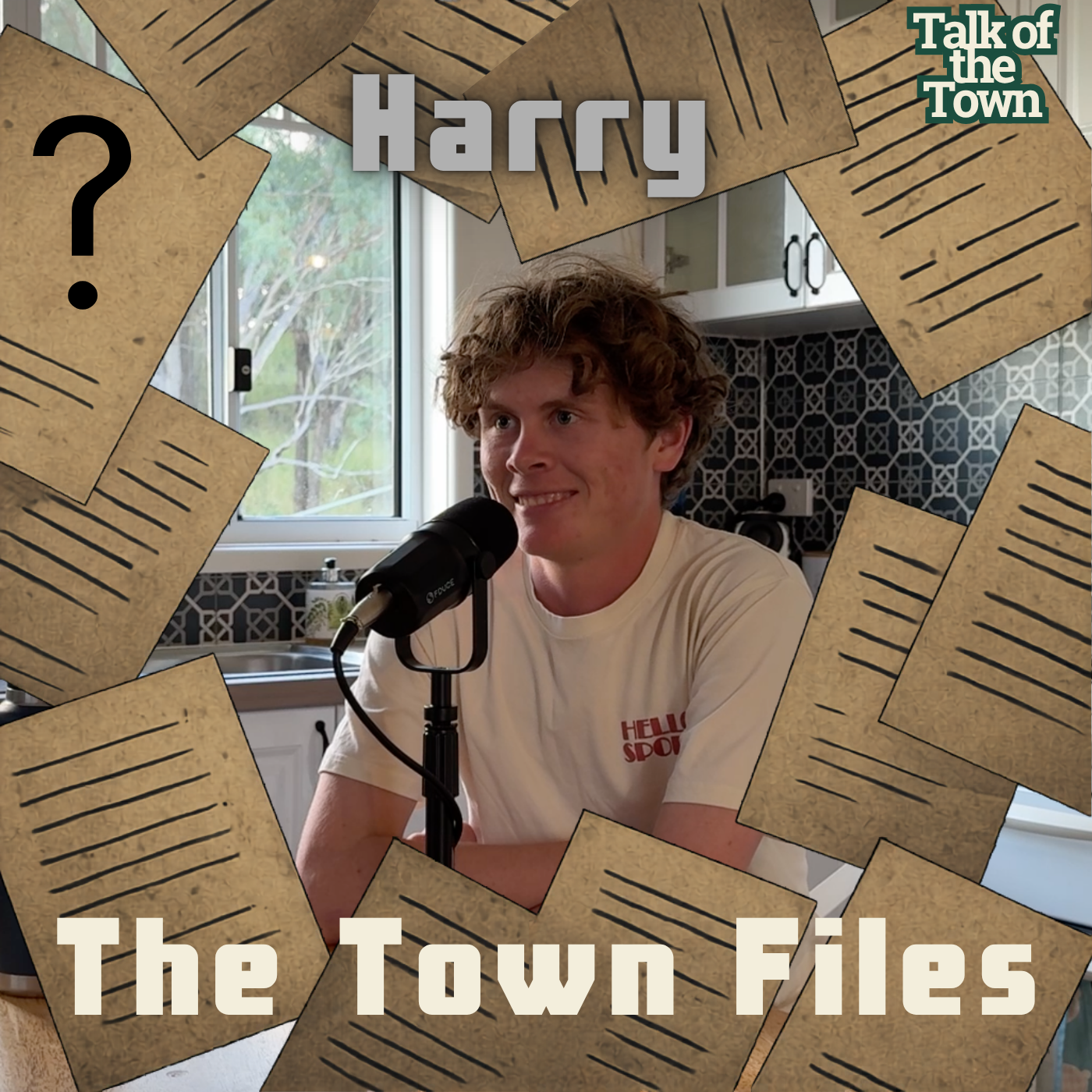 The Town Files - Harry episode artwork