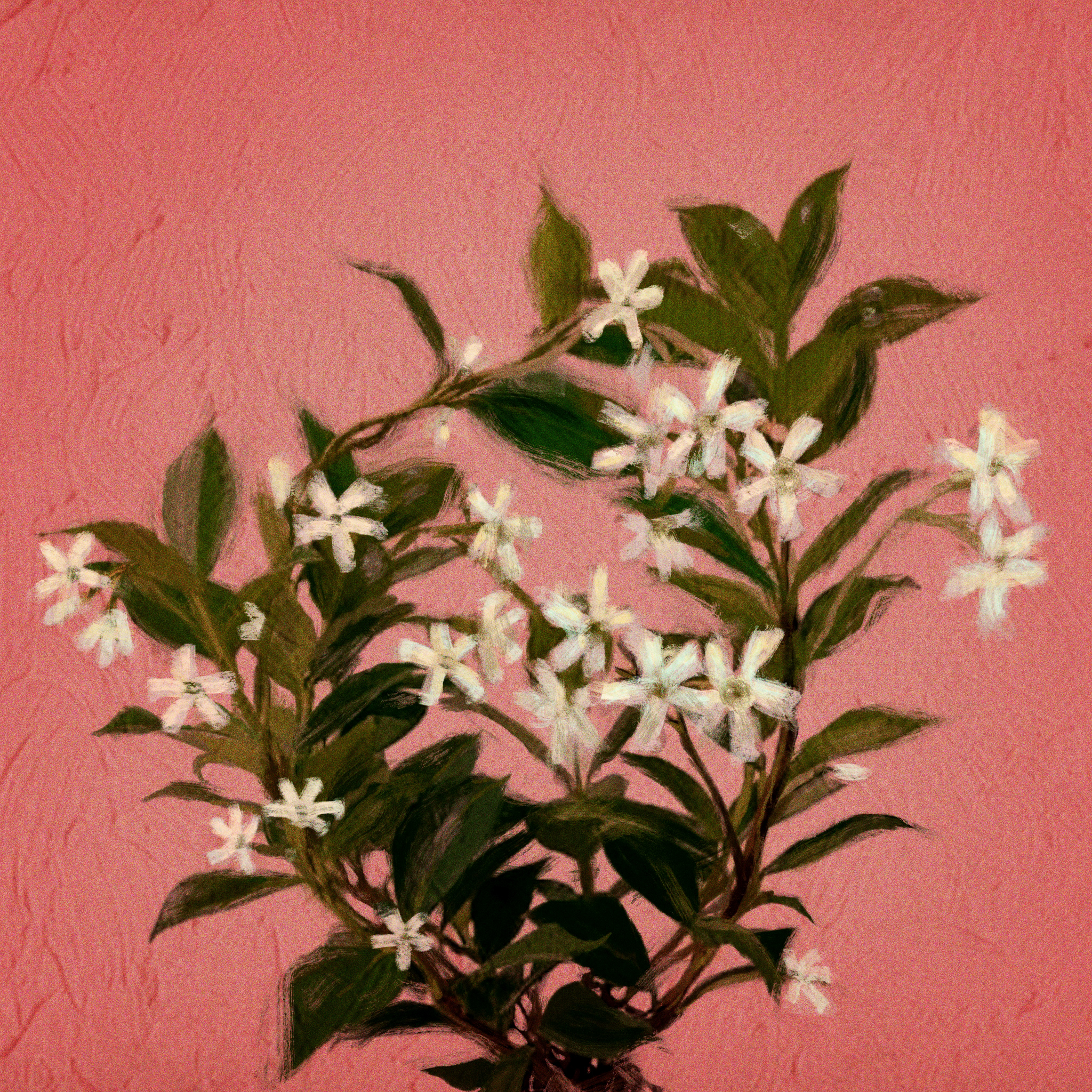 The Language of Flowers