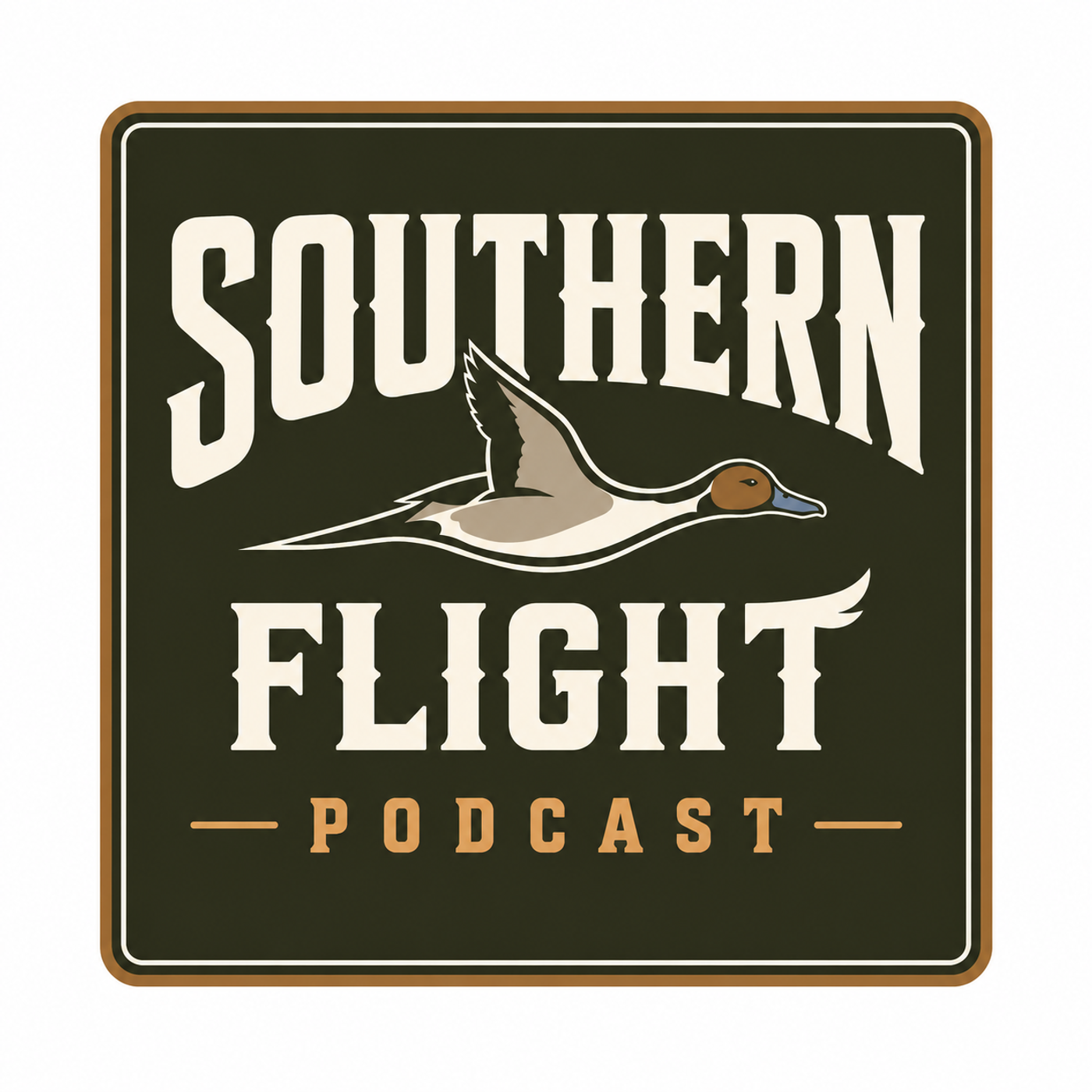 Southern Flight Podcast podcast artwork