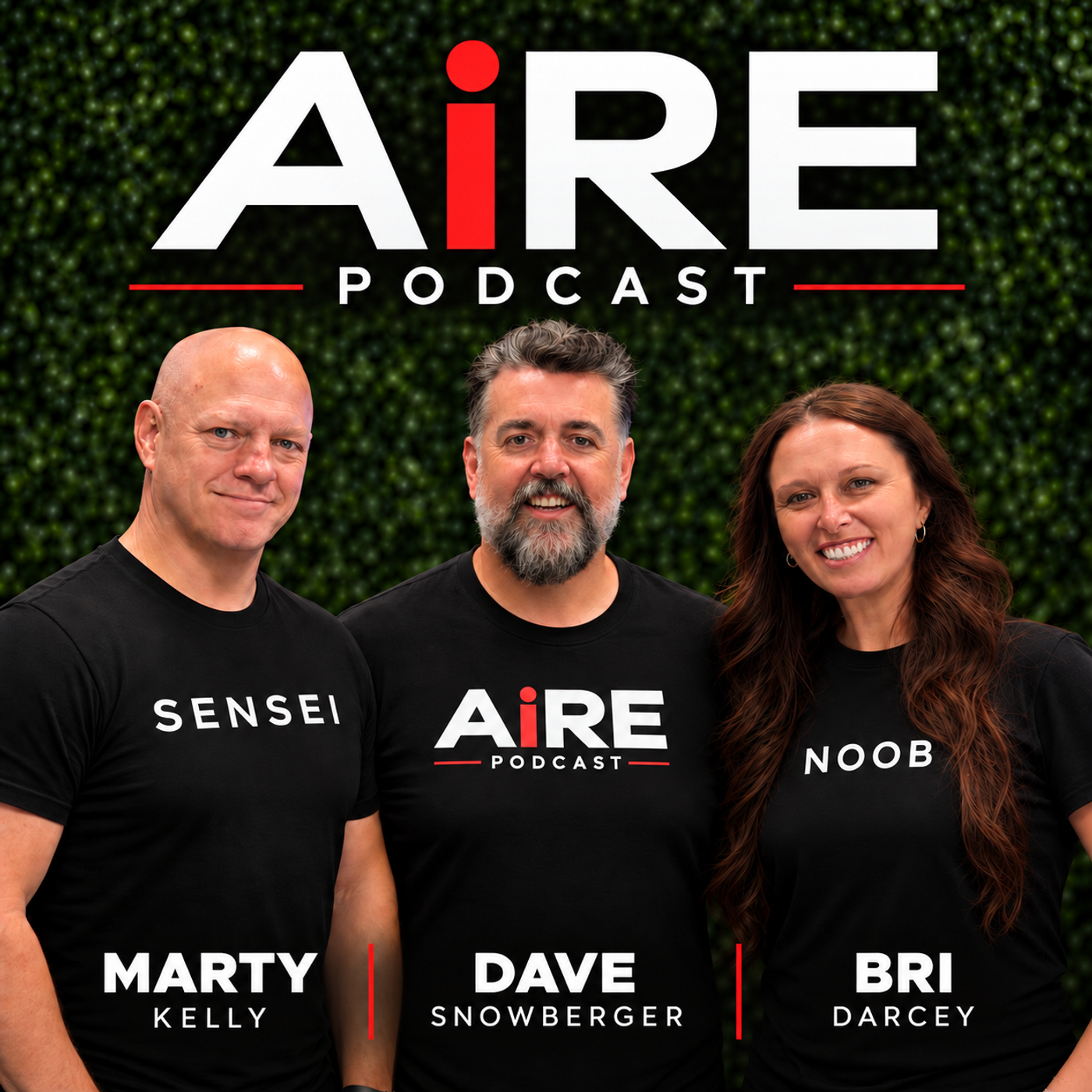 AiRE Podcast podcast artwork